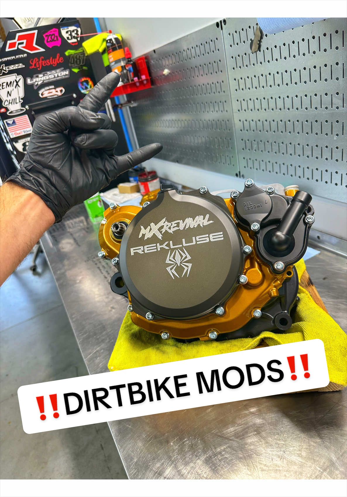@mXrevival