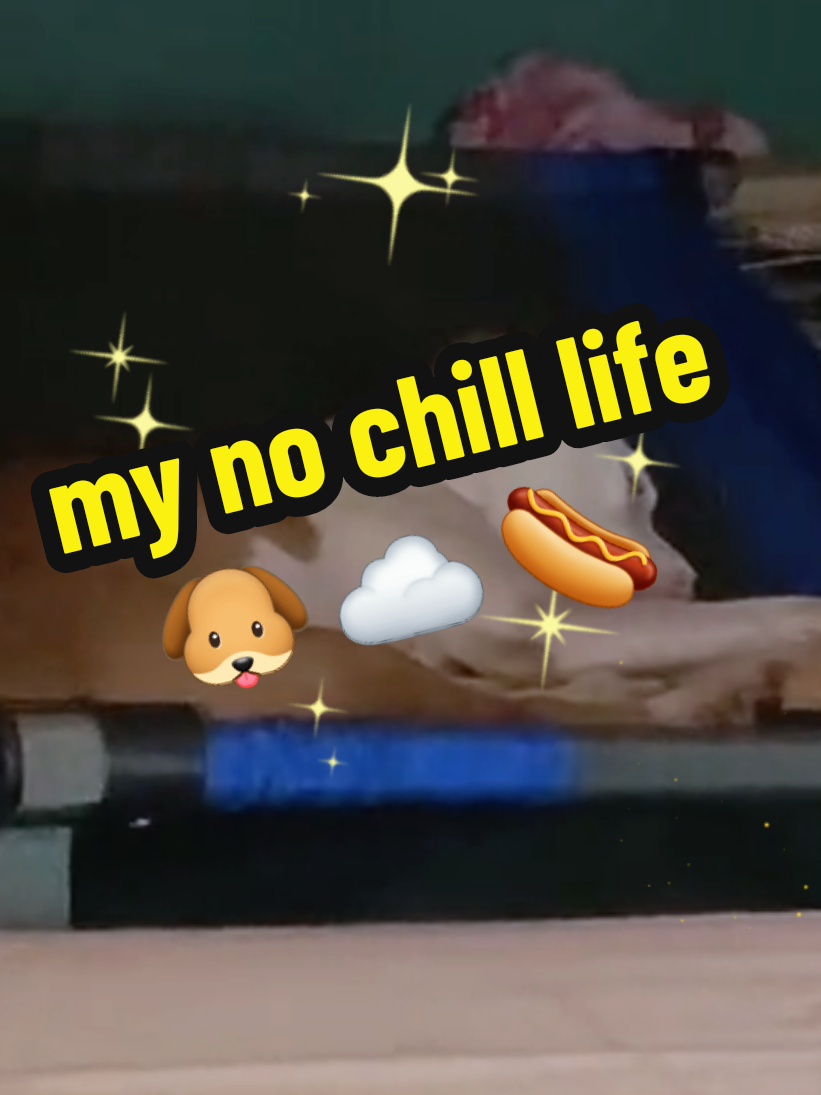 @BLOODETGUTS
