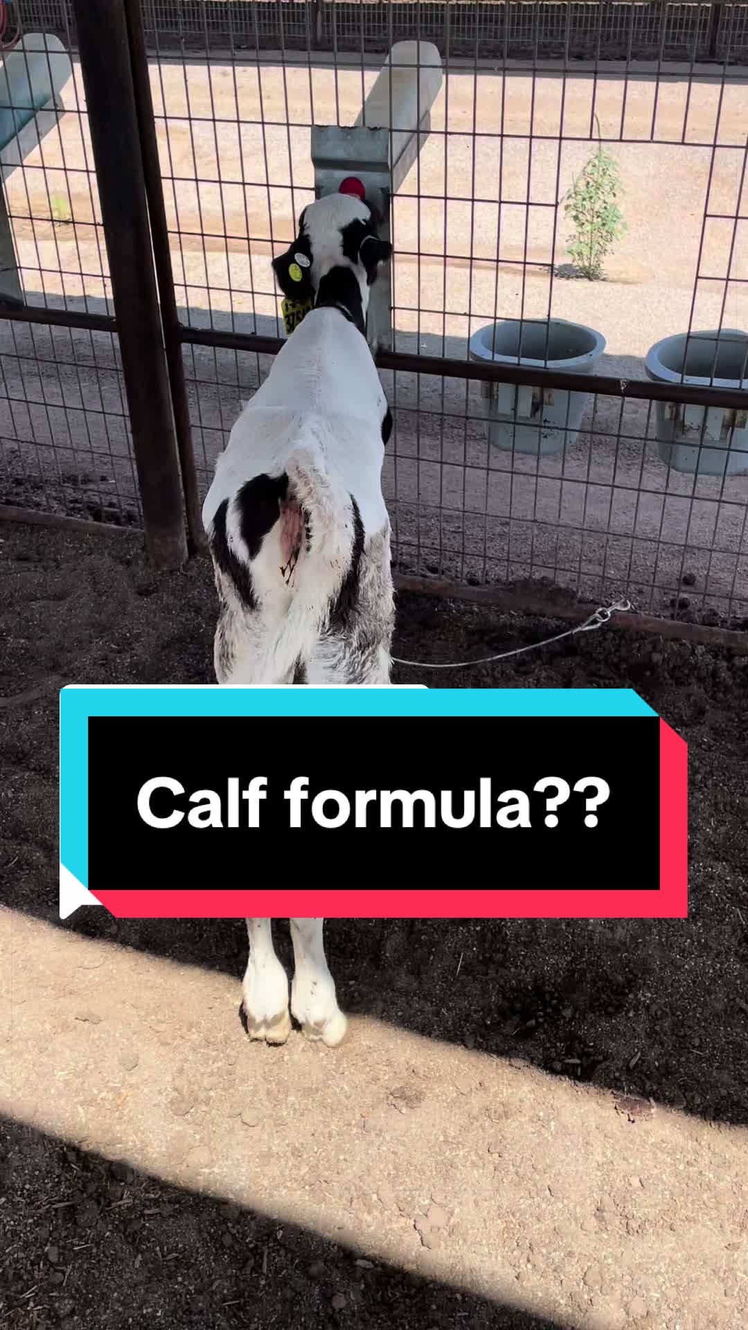 @Dairy Vet Dr. Michelle