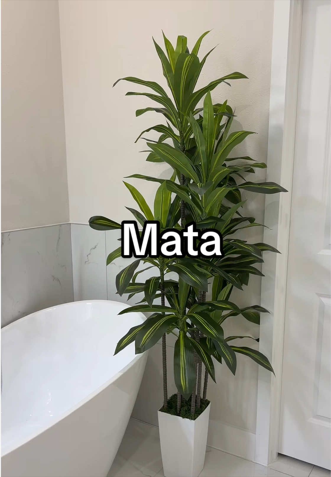 @Yaumara Martinez