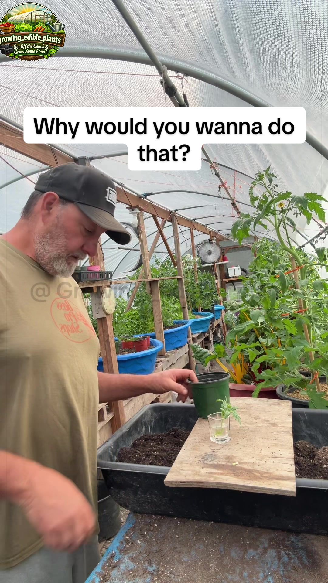 @GROWING_EDIBLE_PLANTS