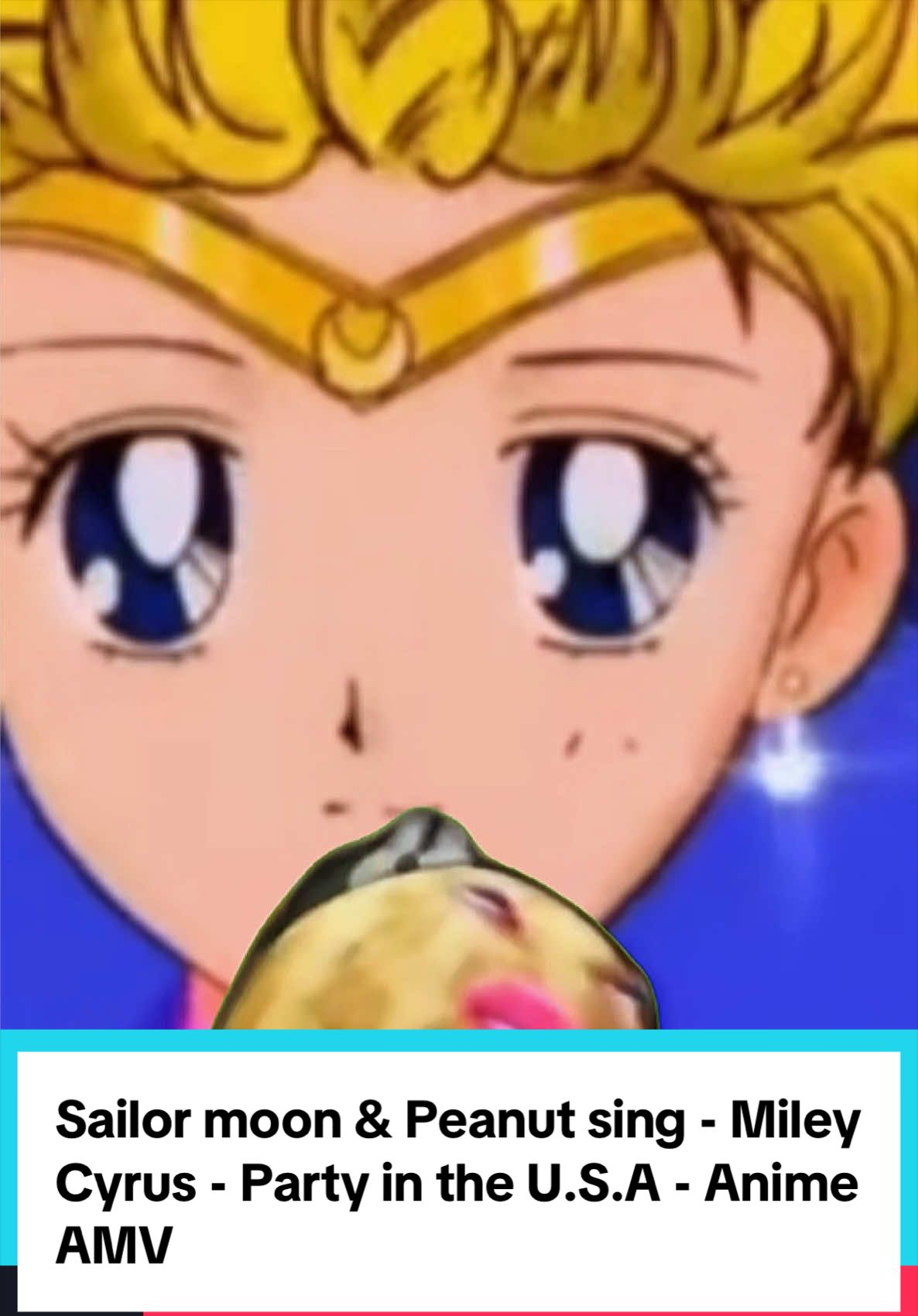 @FYC AMV