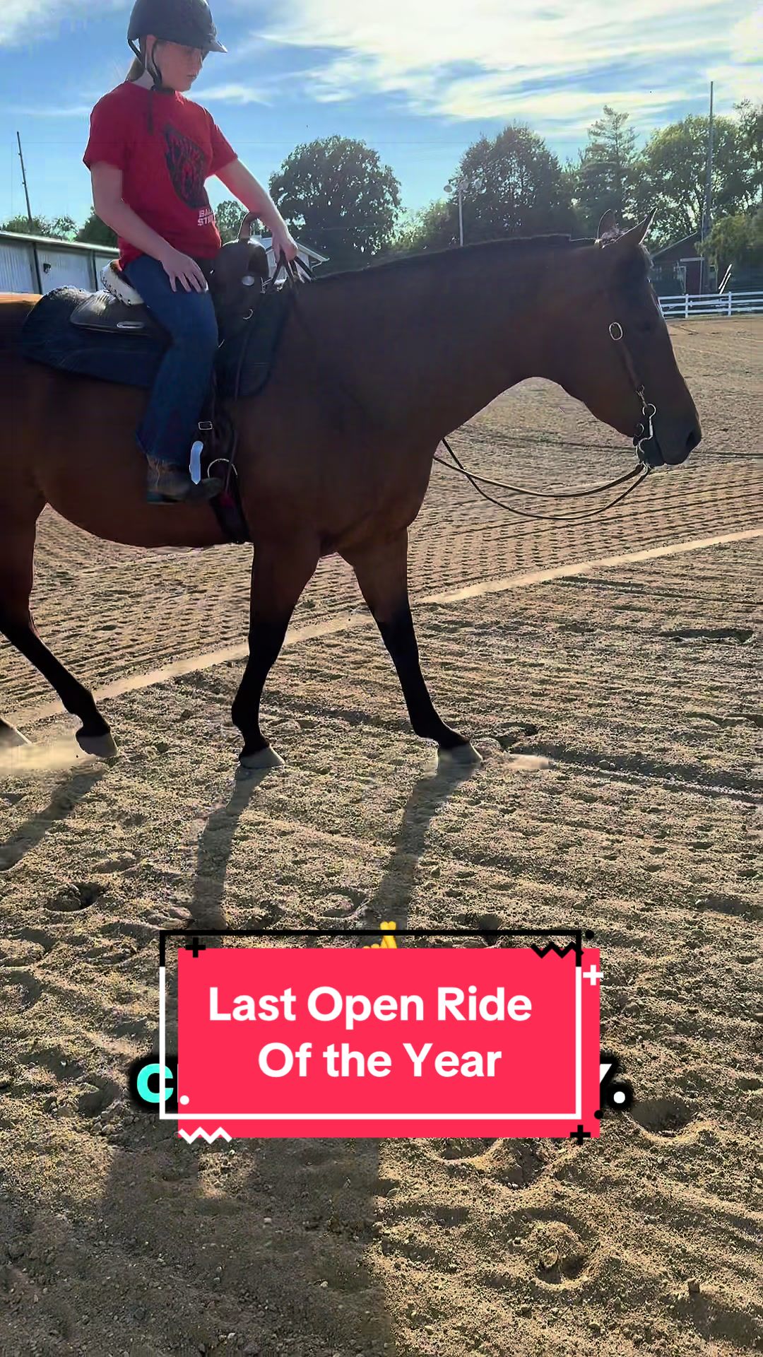 @yourhorseandponyleader