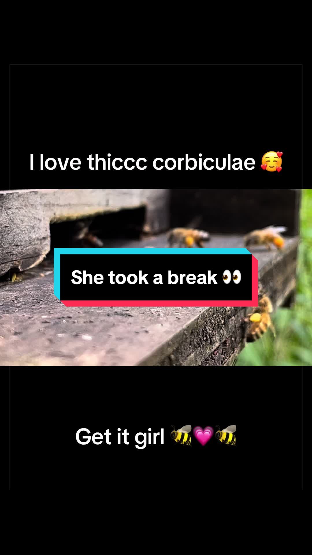 @Steph in the Wild