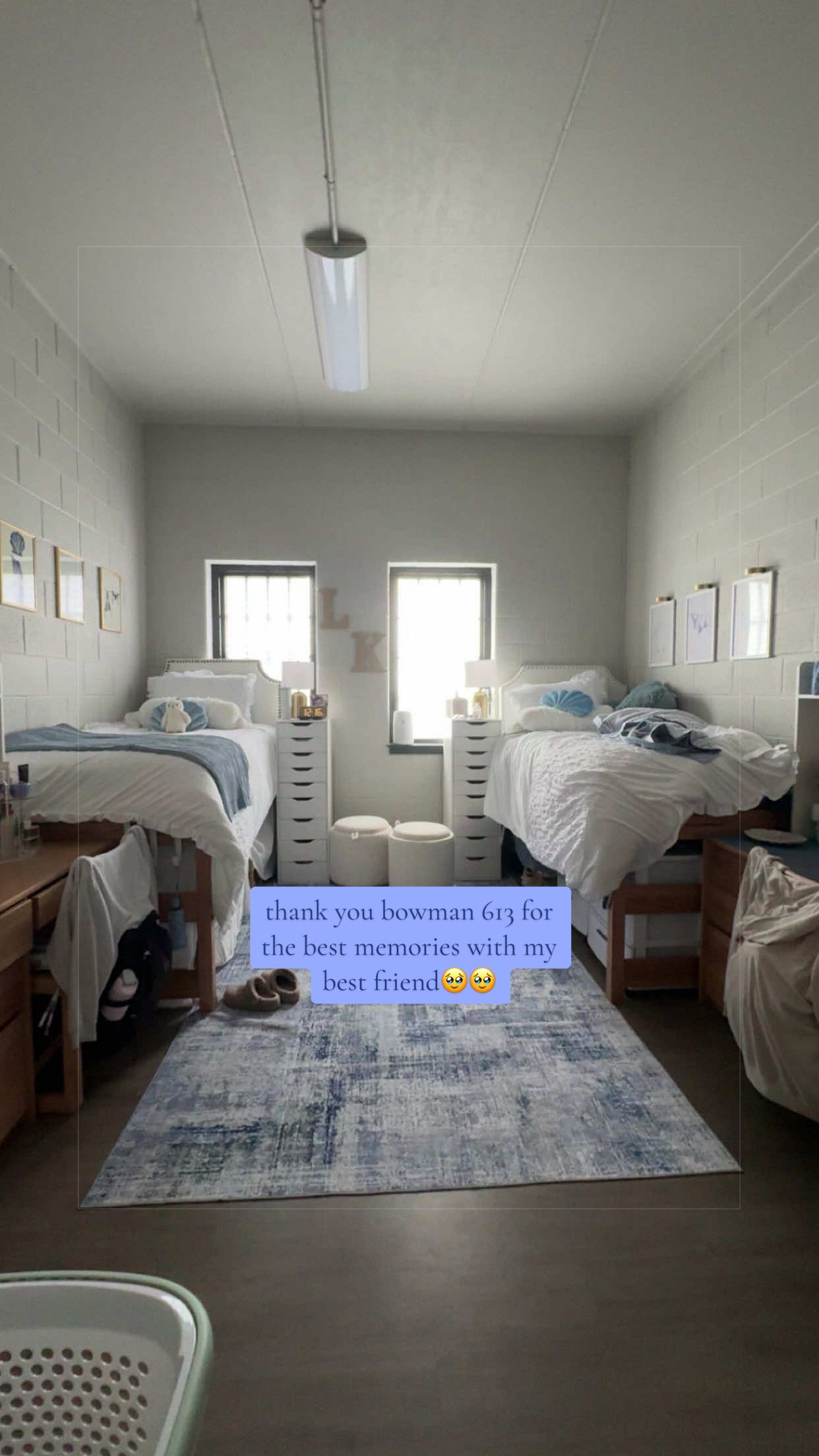@lily