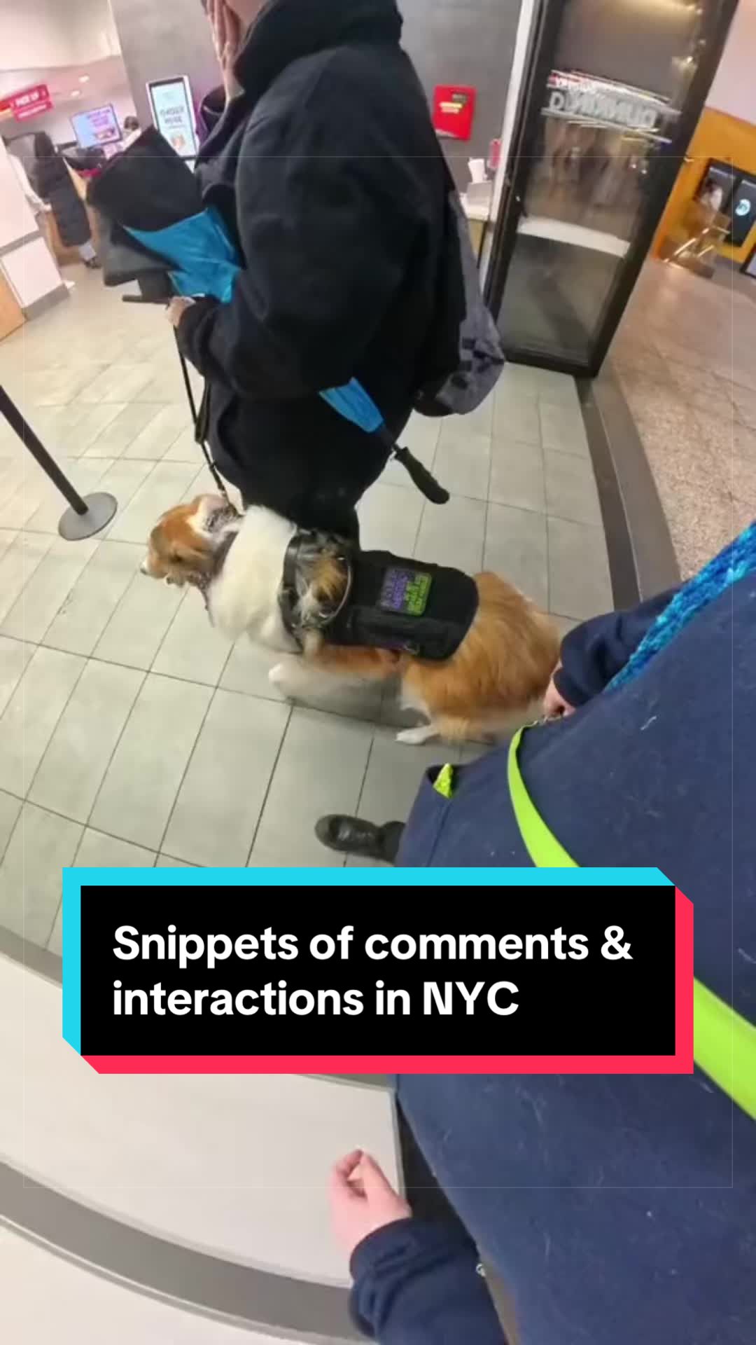 @Dakota & Pups