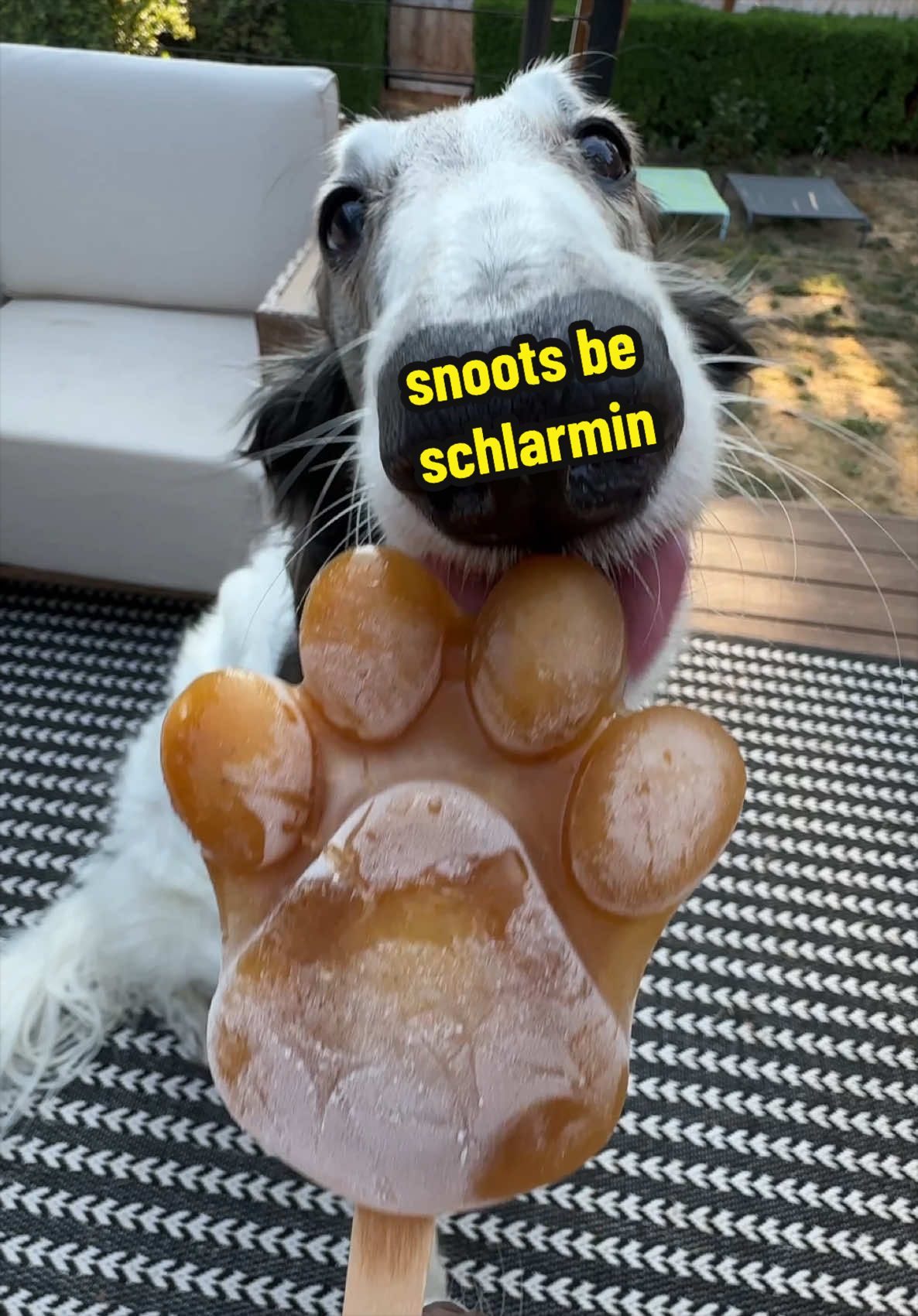 @cleolonglegs