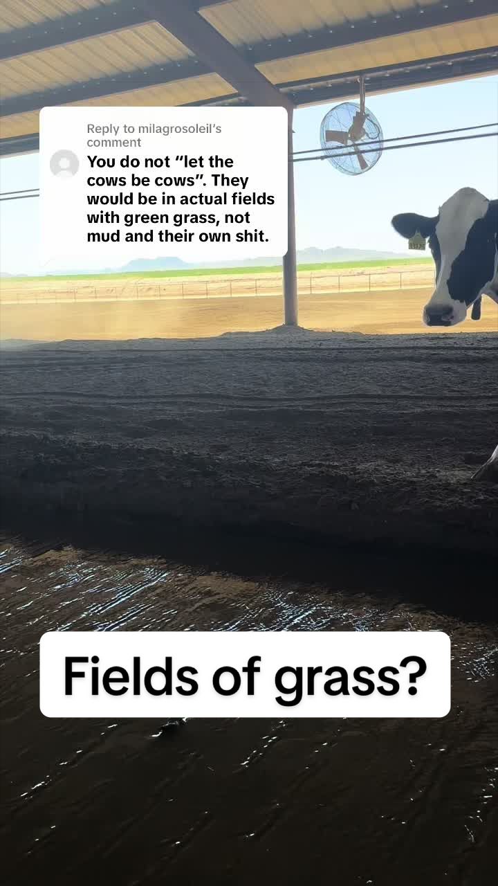 @Dairy Vet Dr. Michelle