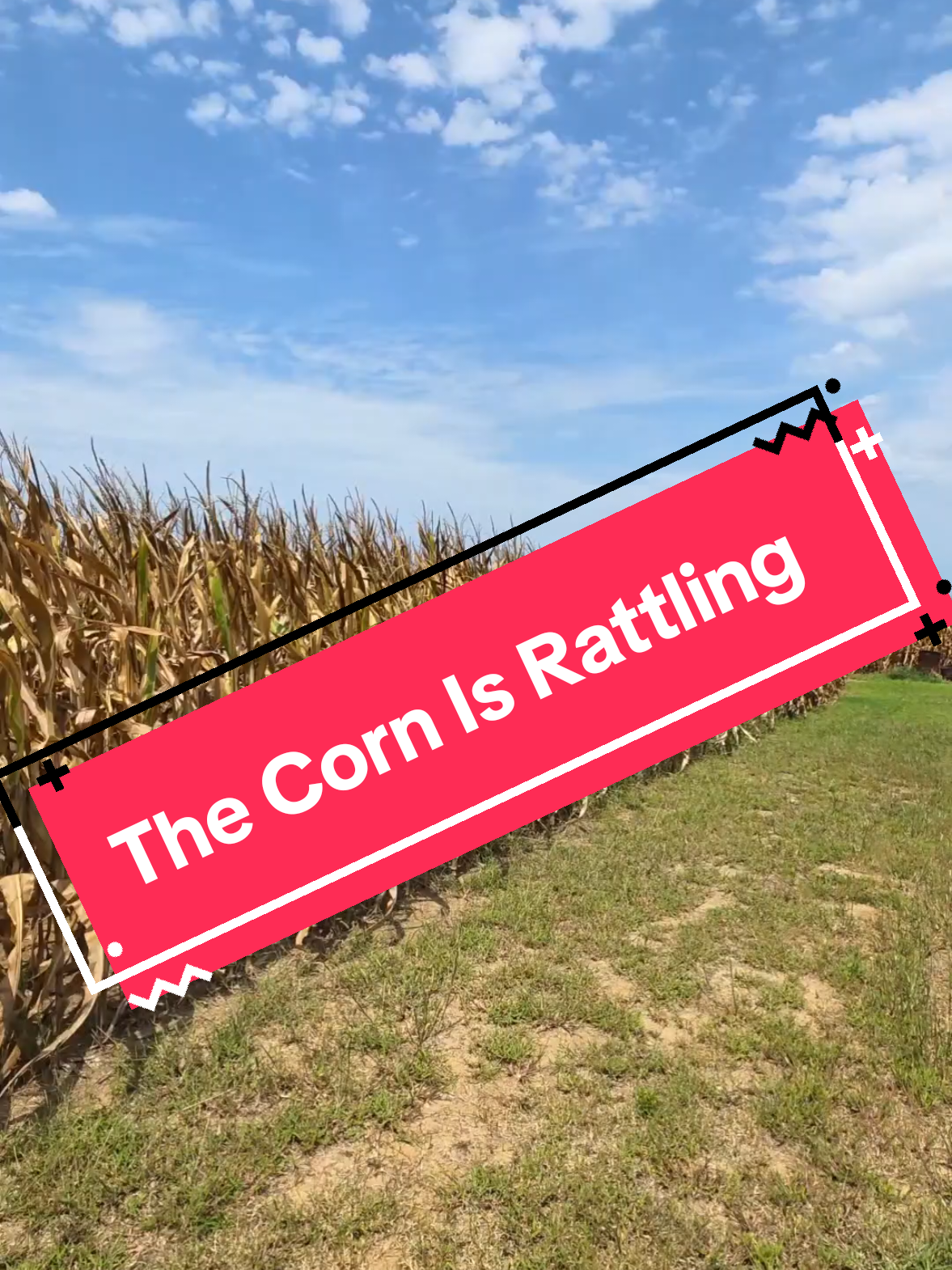 @Bushart Farms