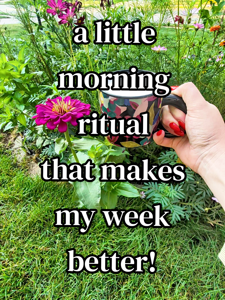 @Lauren | Books, Blooms & Bites