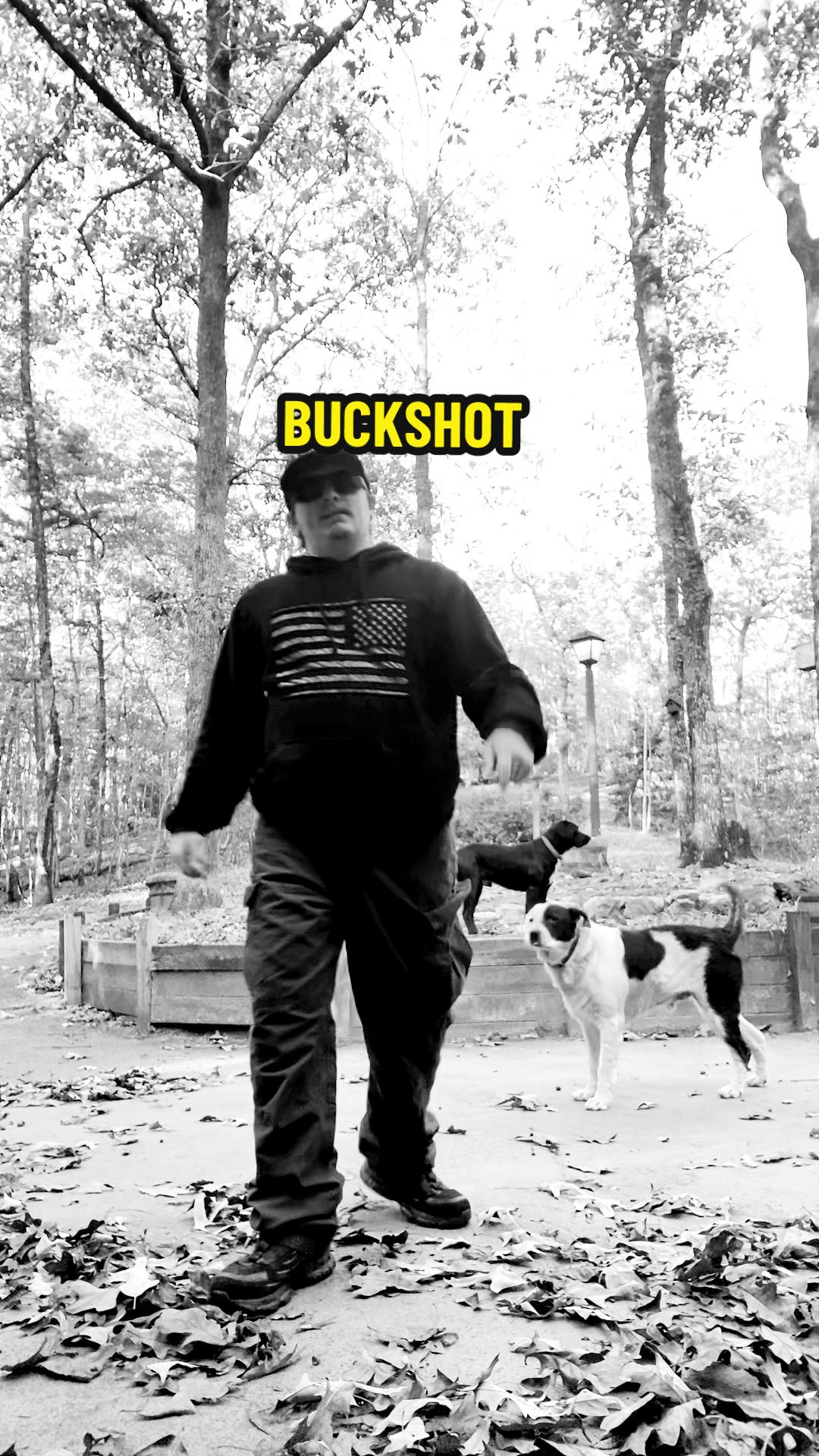 @KingBlaze87