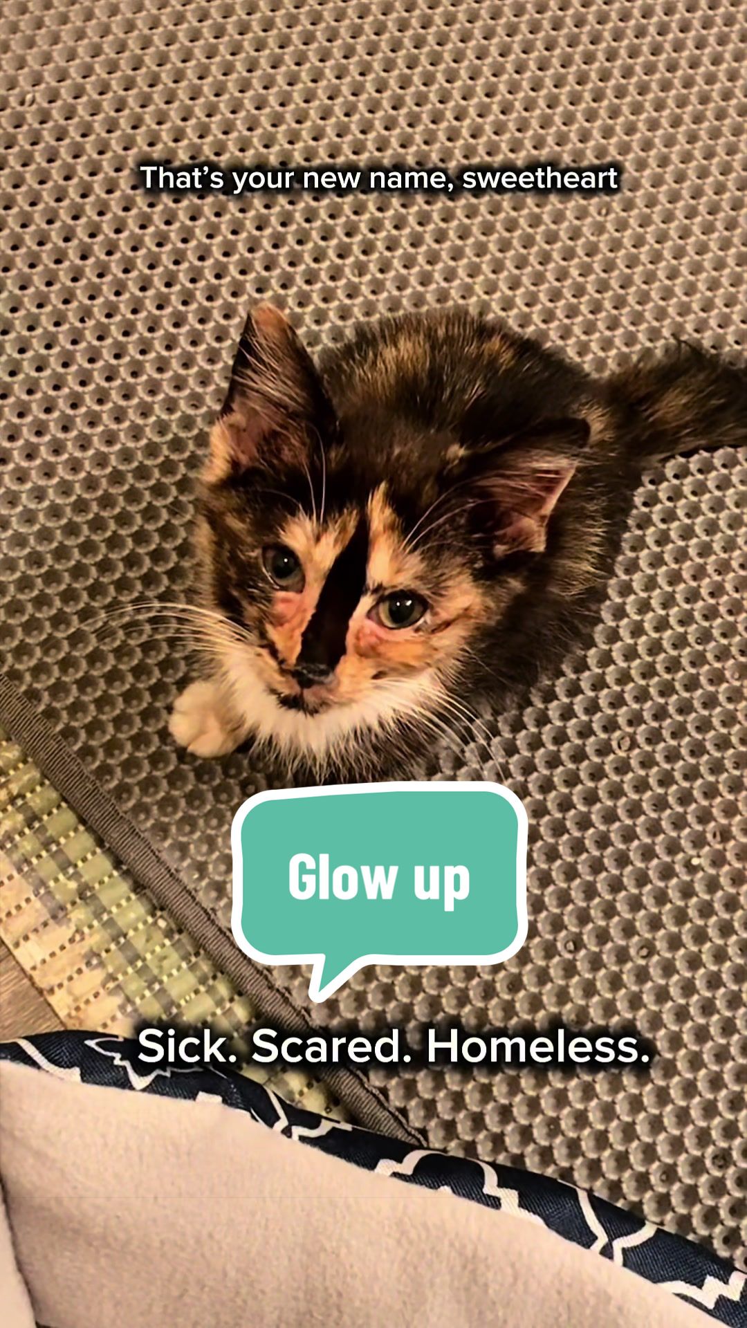 @SnickersTheSmilingCat