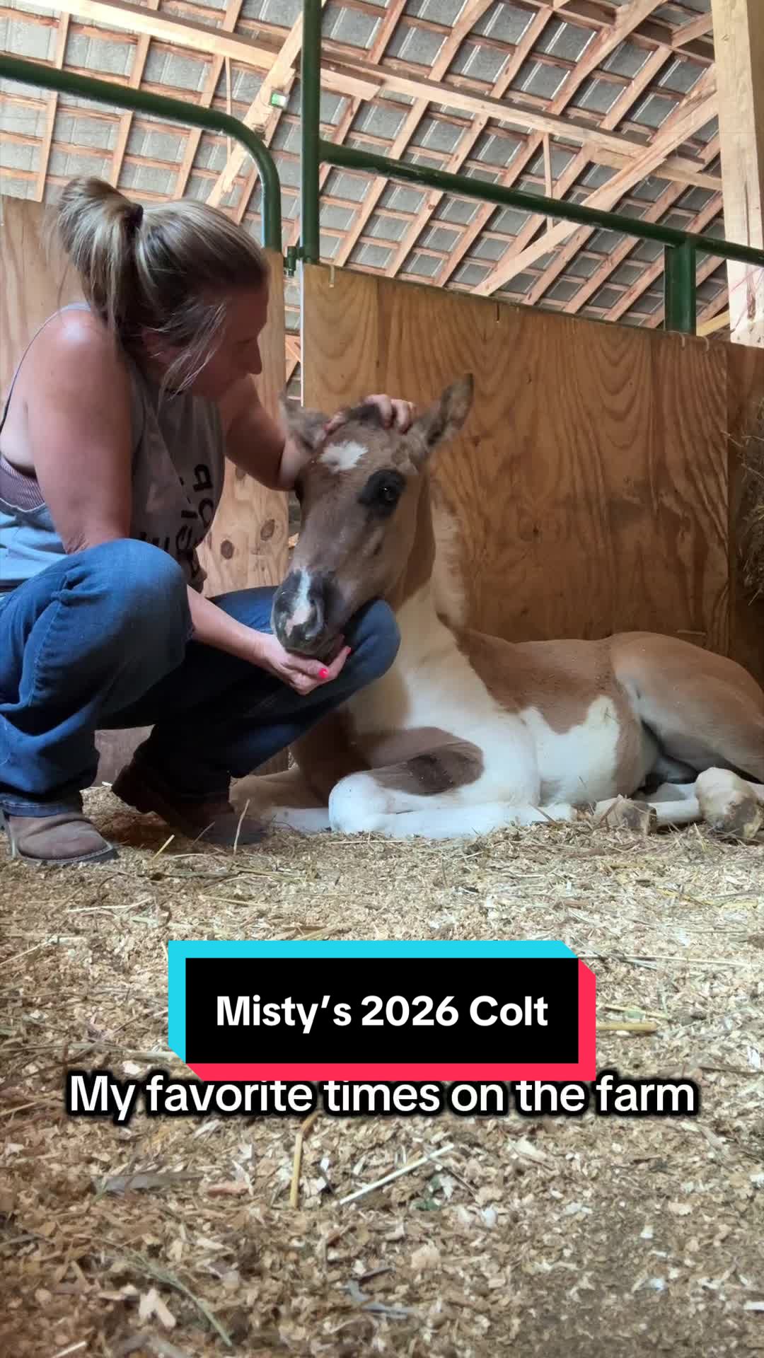 @ThePaintedAcresRanch