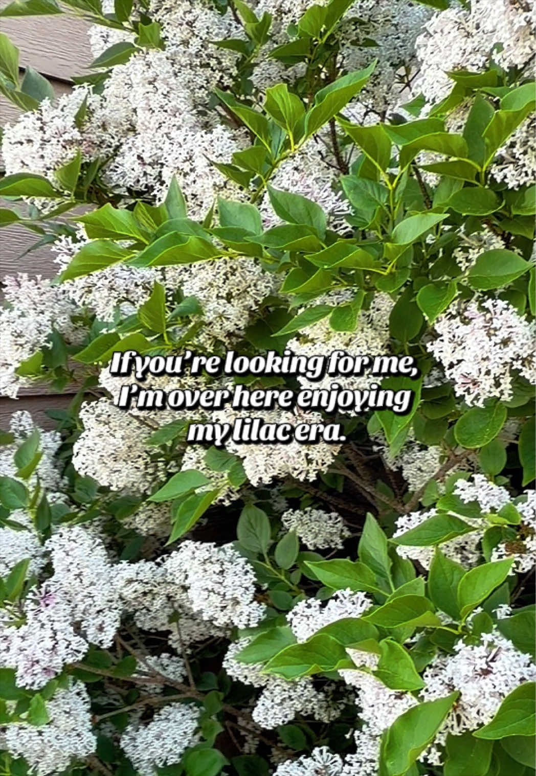 @Beth Saunders