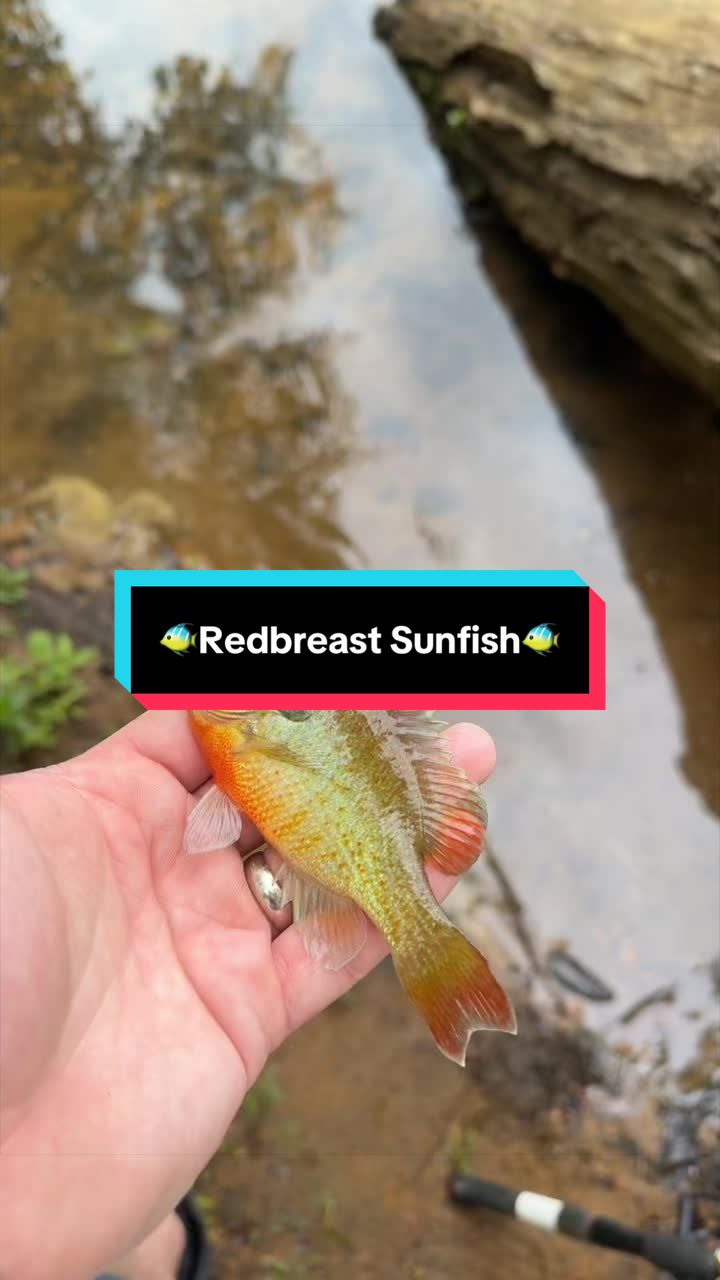 @fb1fishing