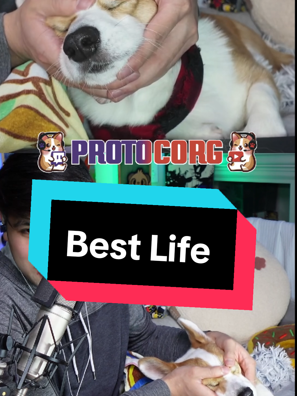 @Protocorg | Twitch Streamer
