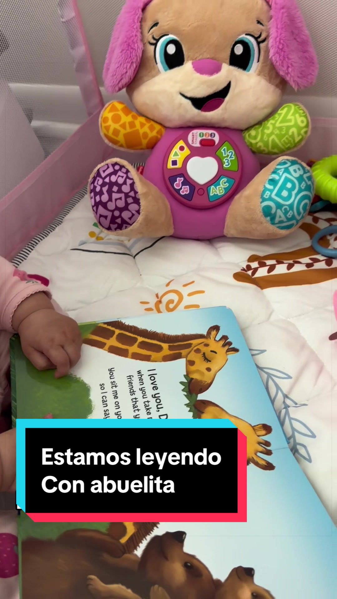 @Lisette Perez Moreno