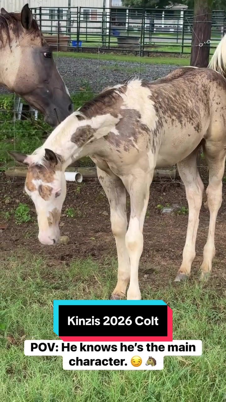 @ThePaintedAcresRanch