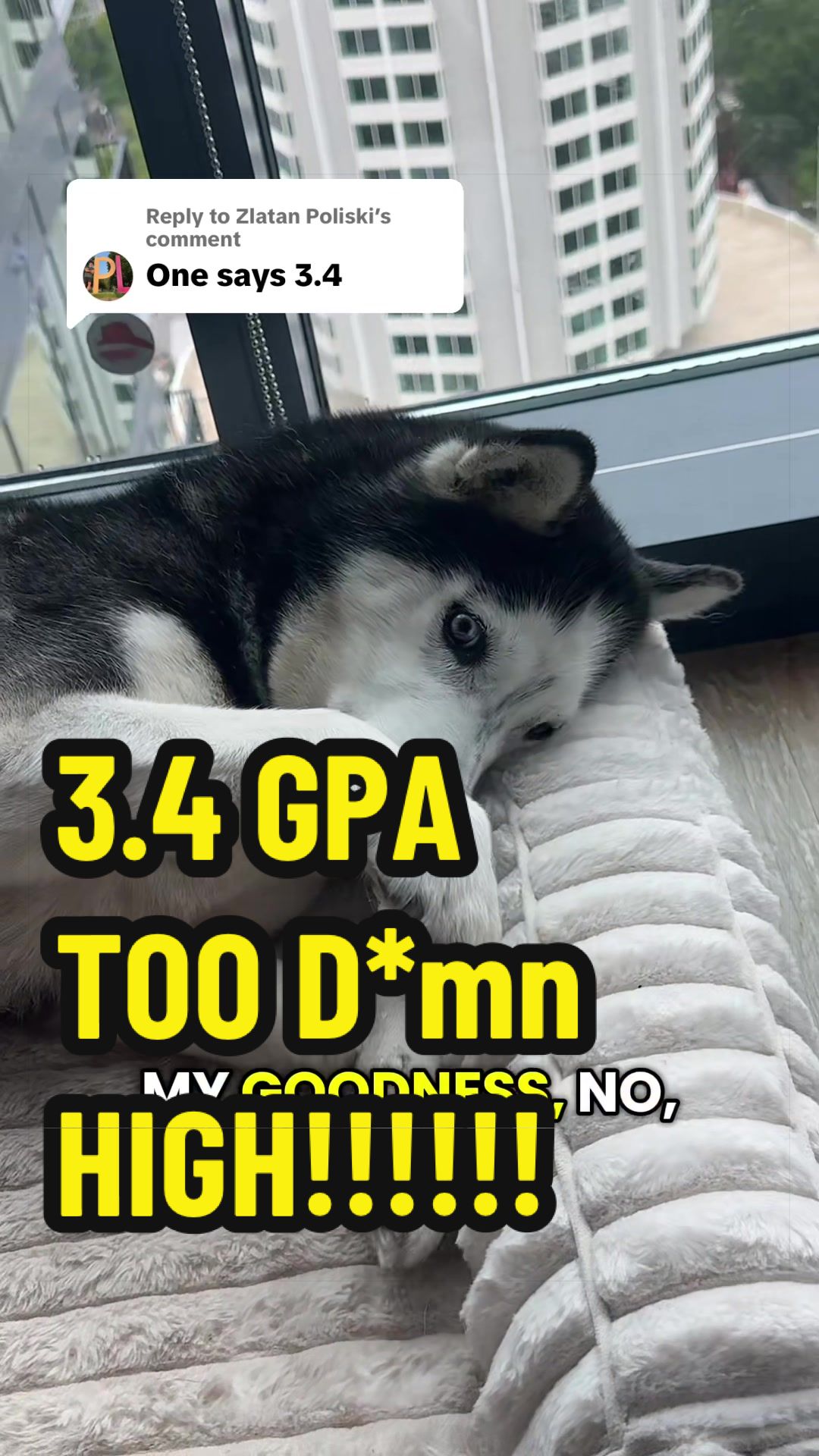 @Personal Statement Pros