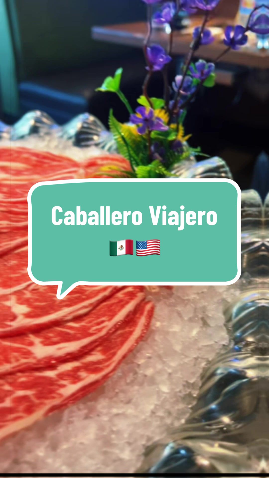 @caballeroviajero0317