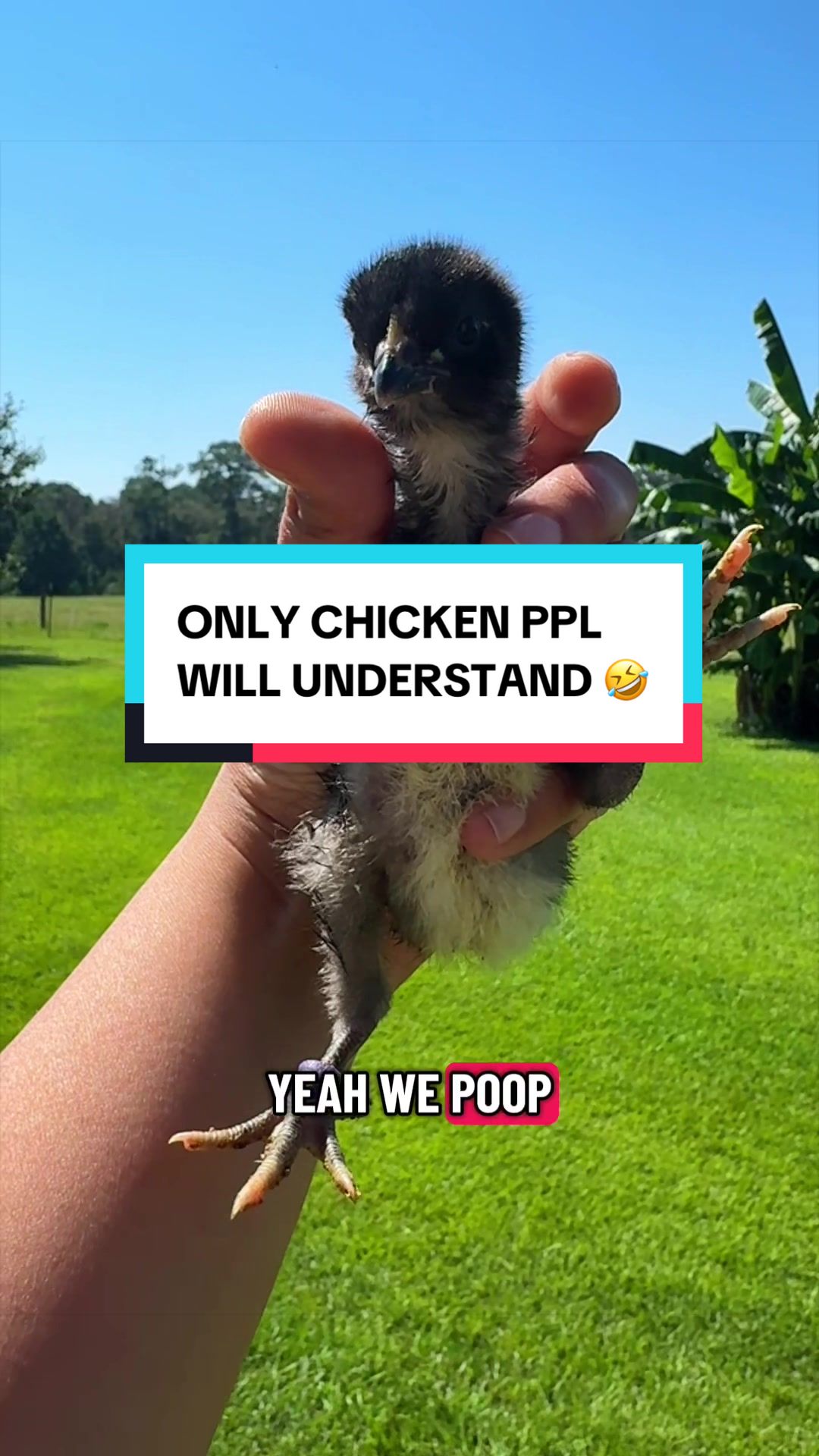 @andrycreates