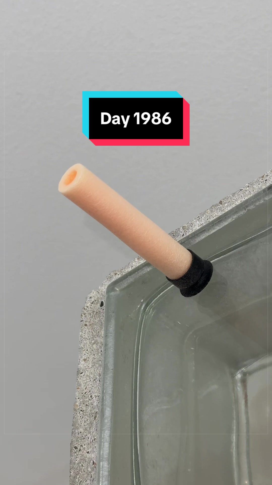 @The Immortal Nerf Dart
