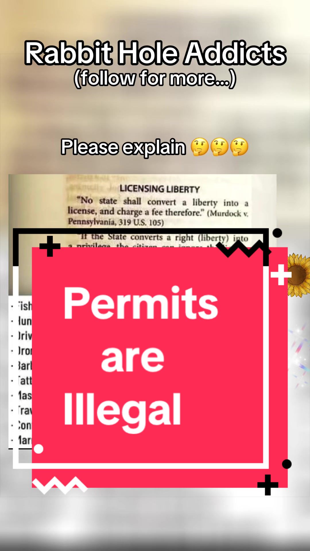 @rabbit_hole_addicts