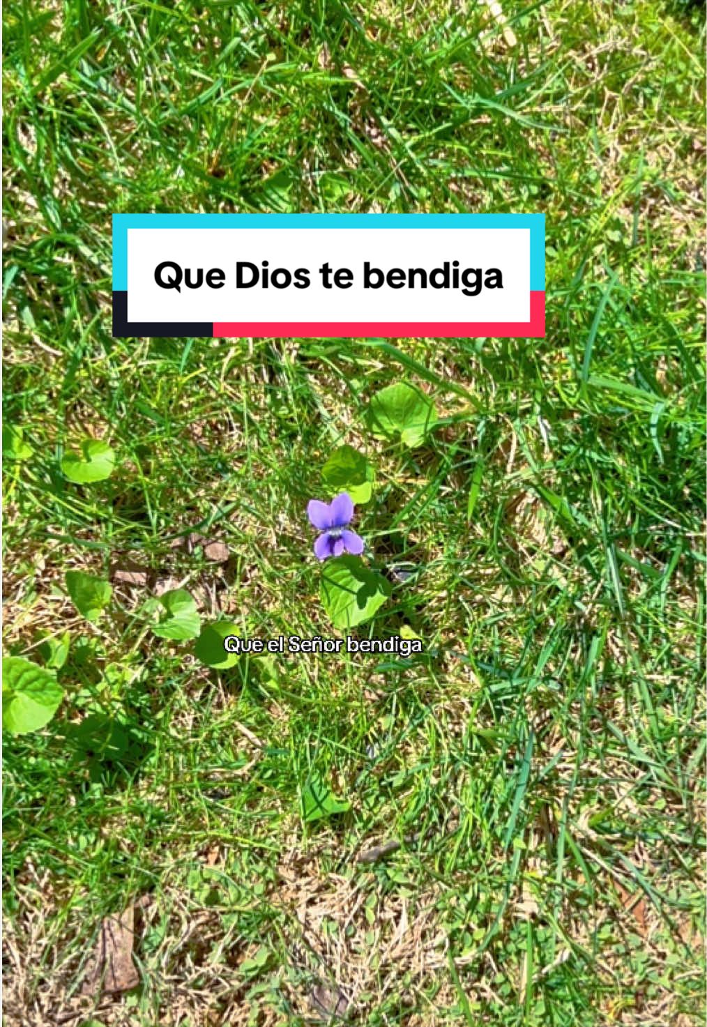 @JUDIT