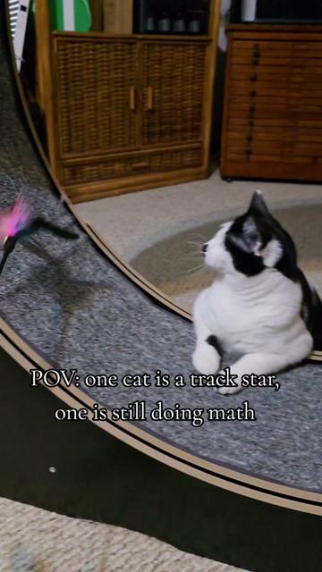 @𝓚𝓪𝓽 𝓦𝓱𝓮𝓮𝓵𝓮𝓻🐈⬛