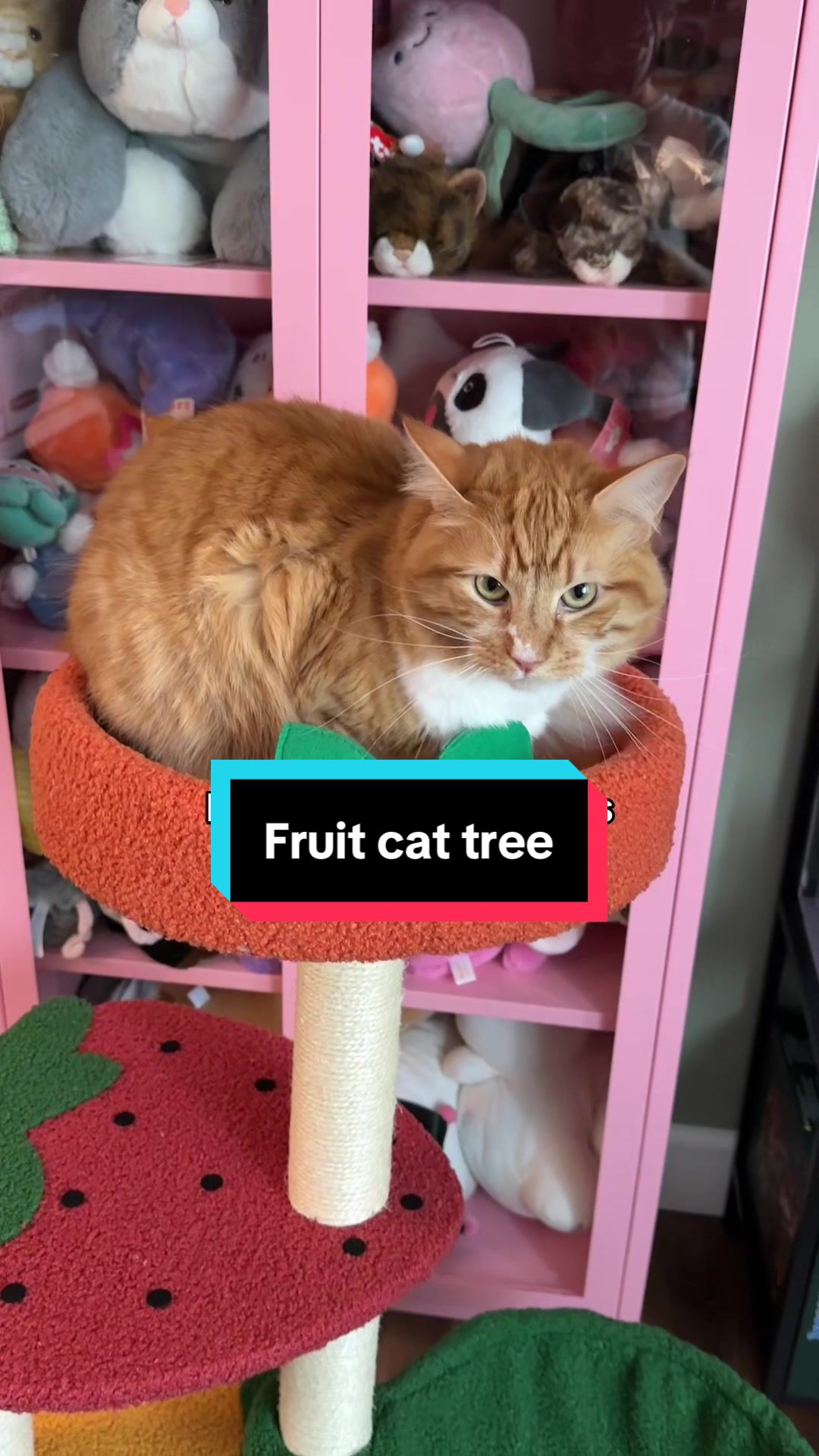 @meloncreamcat
