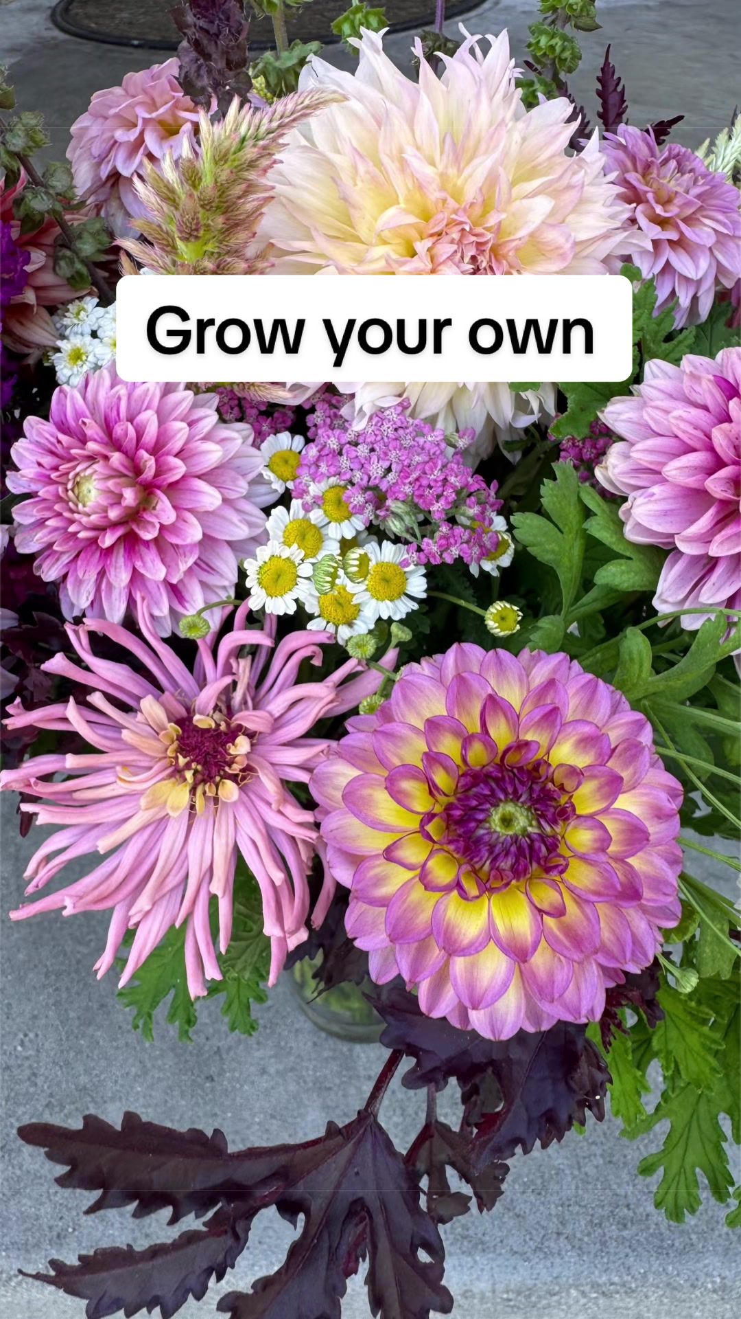 @Rylee’s Blooms