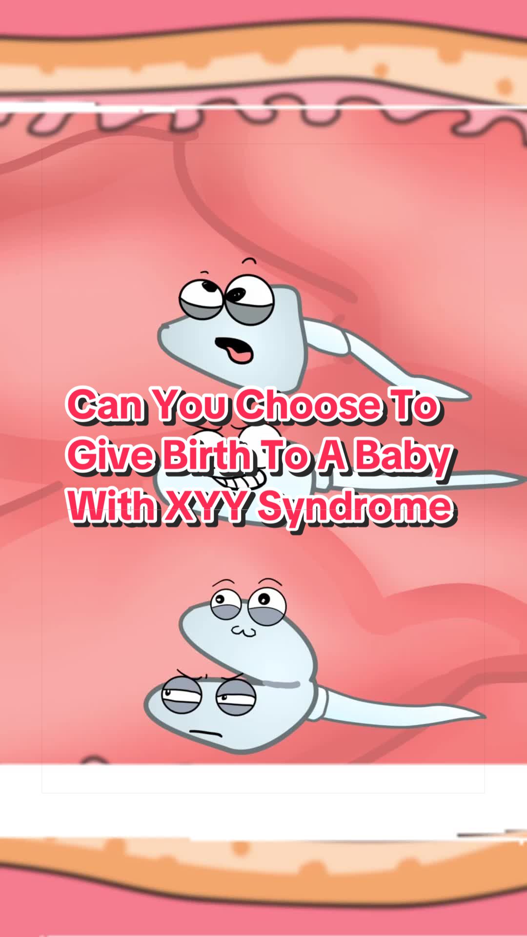 @Funny Animations