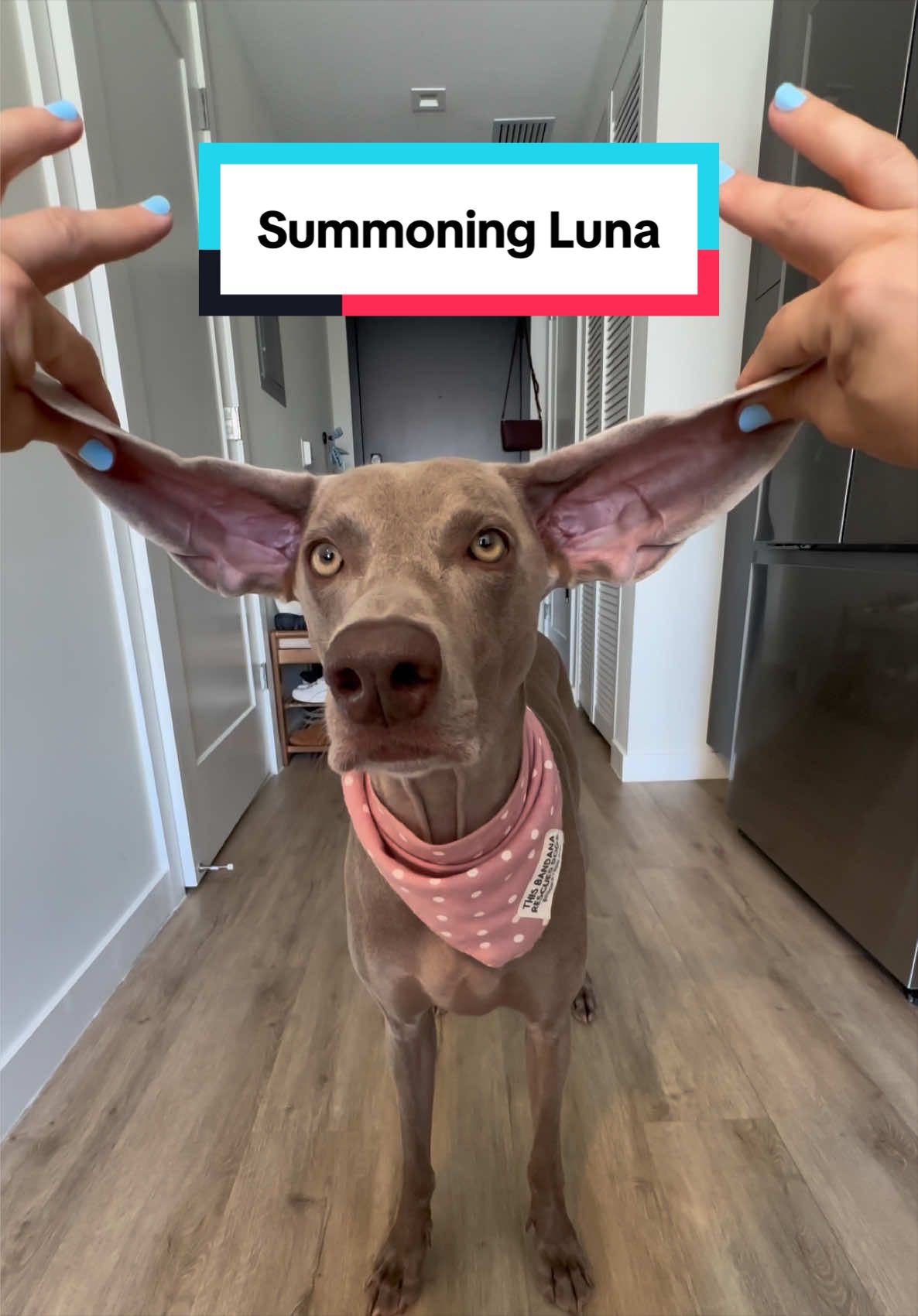 @theweimmoon
