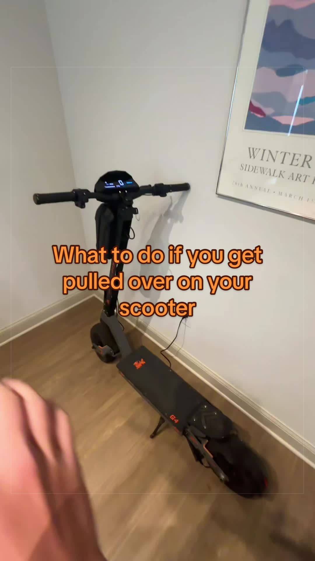 @Legal Moto Dealer