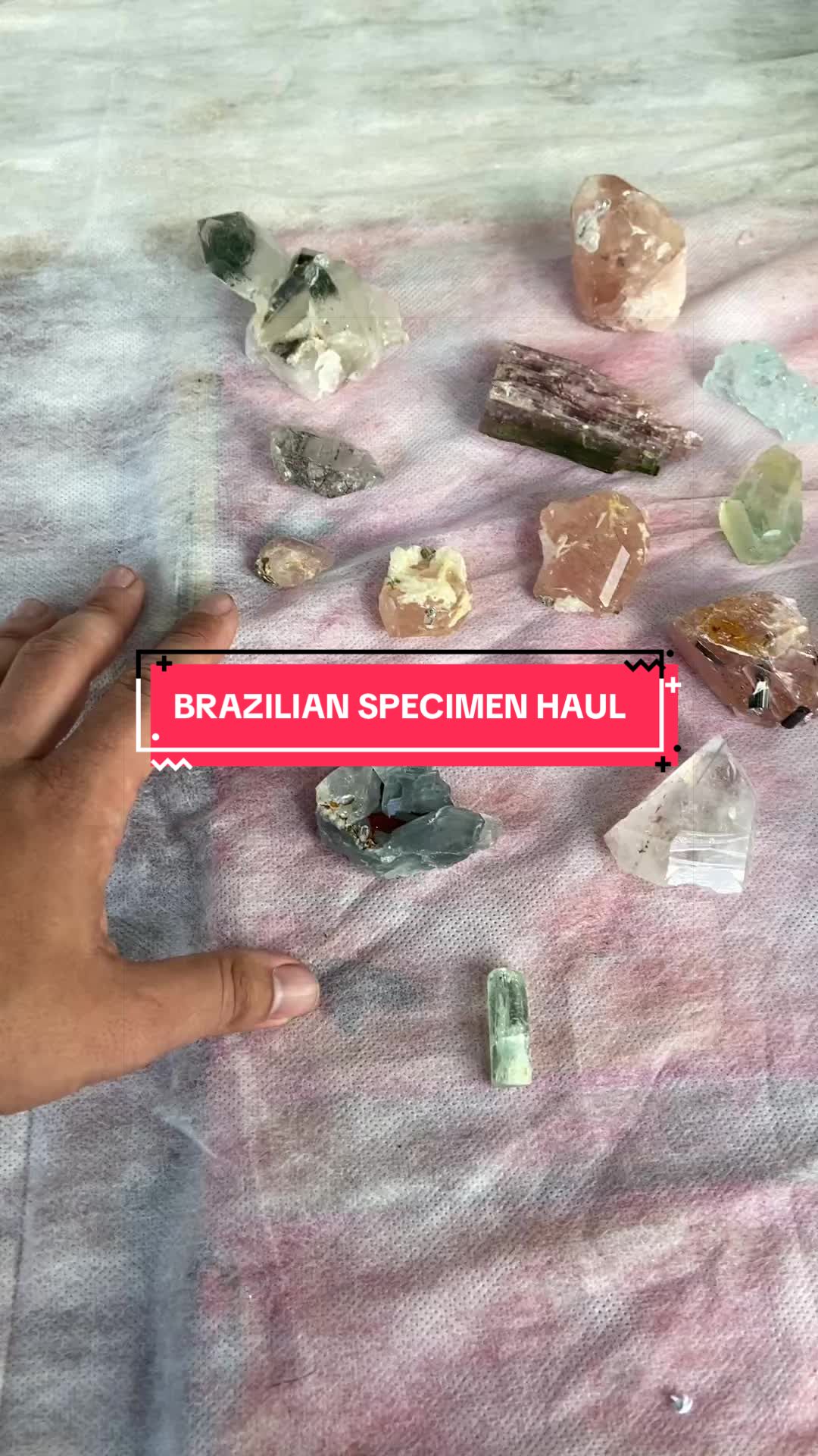 @🔮CrystalPacifica🔮