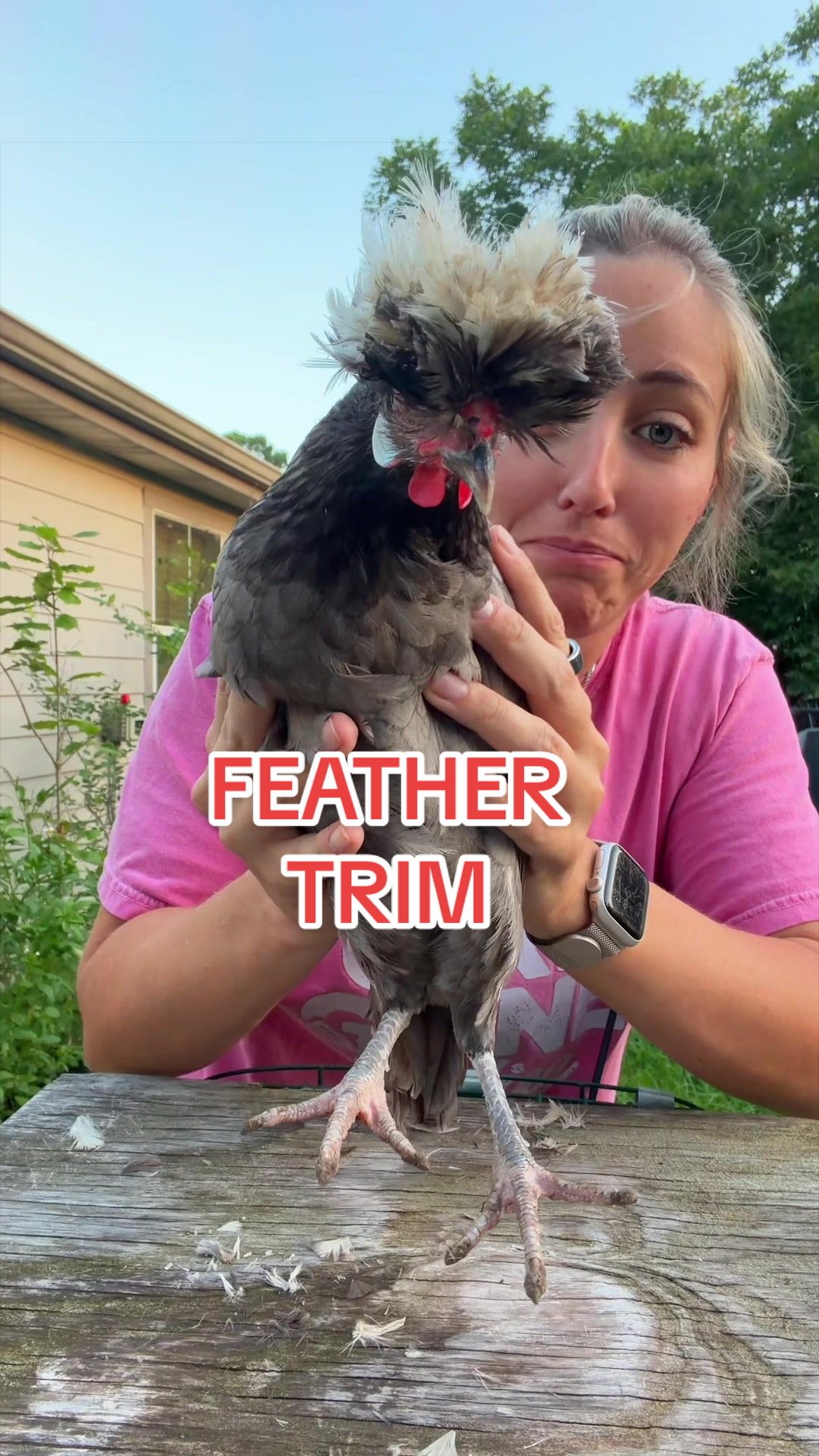 @Gulf Coast Cluckers