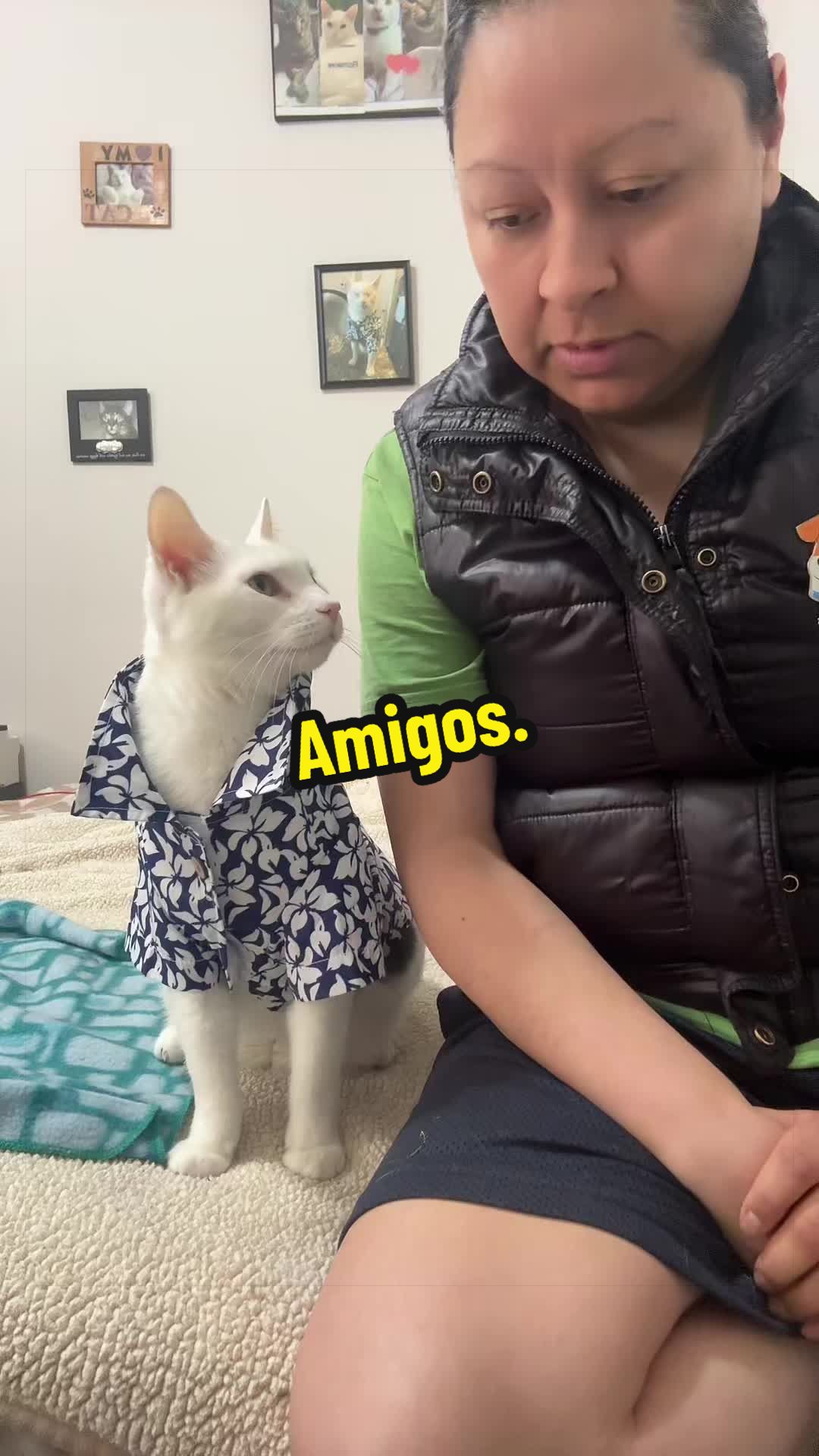 @🦖 MEOWassic CAT😺