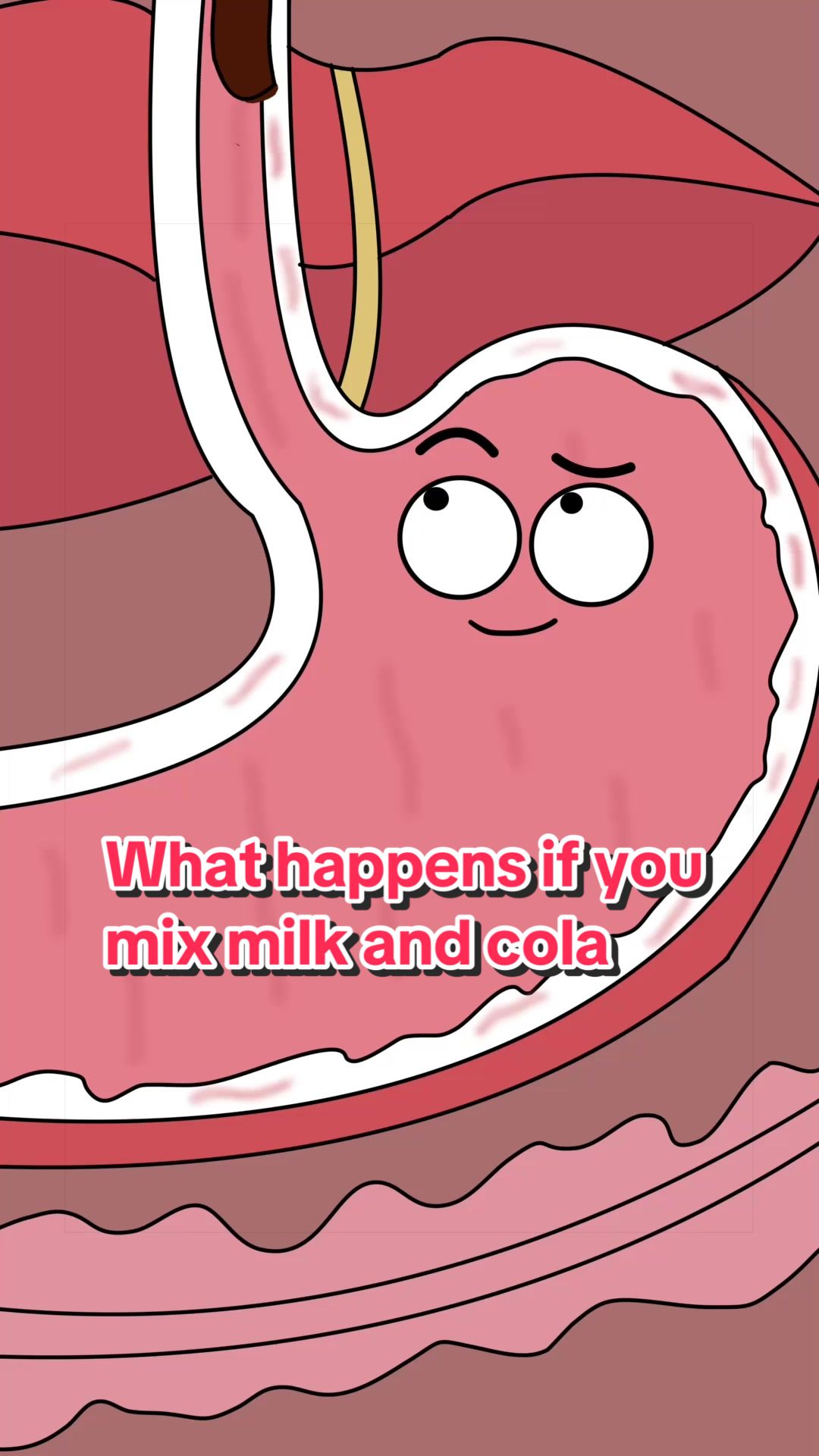 @Funny Animations