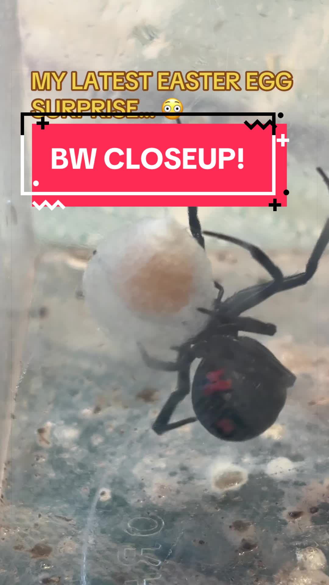 @DoctorBugz