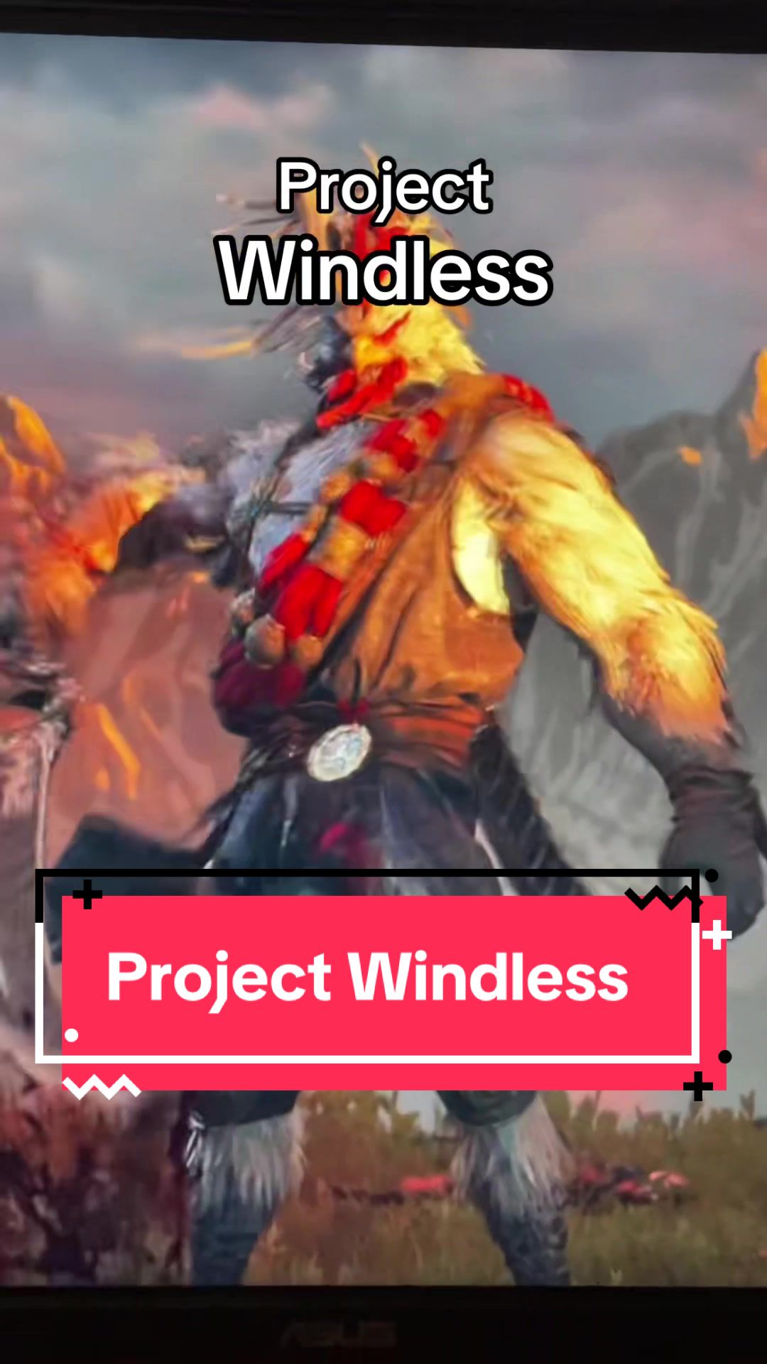 @TheRedMonkey