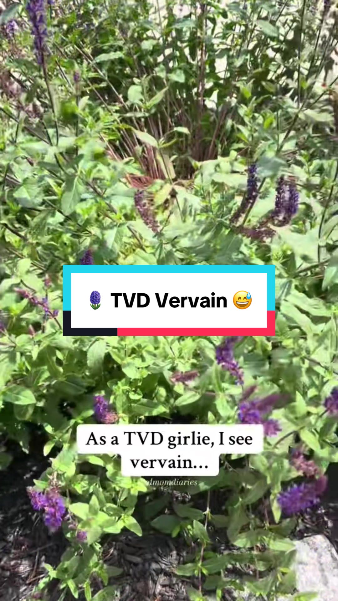 @TVD&ensp;Mom&ensp;Diaries