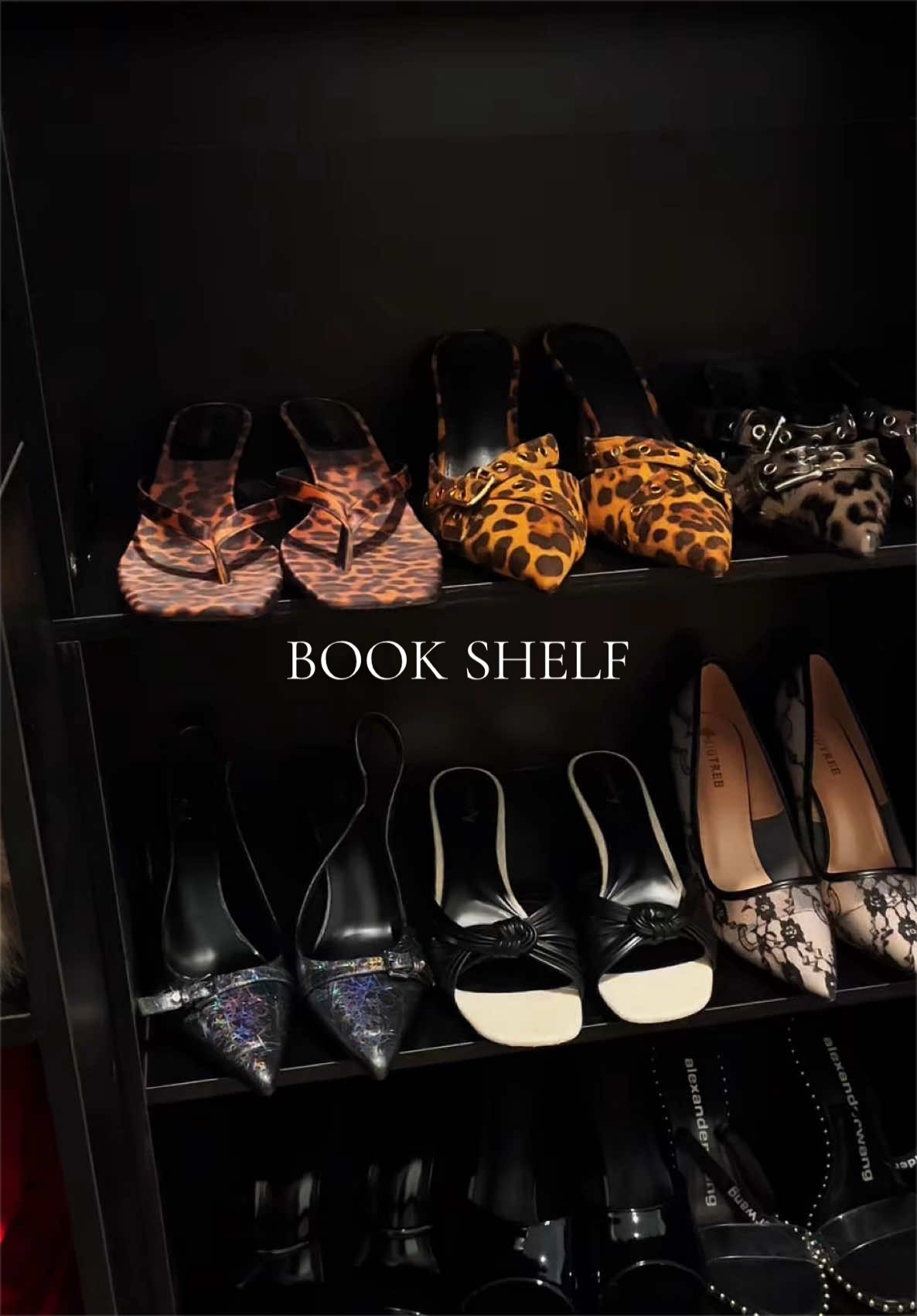 @ci ๐ท | tiktok shop finds