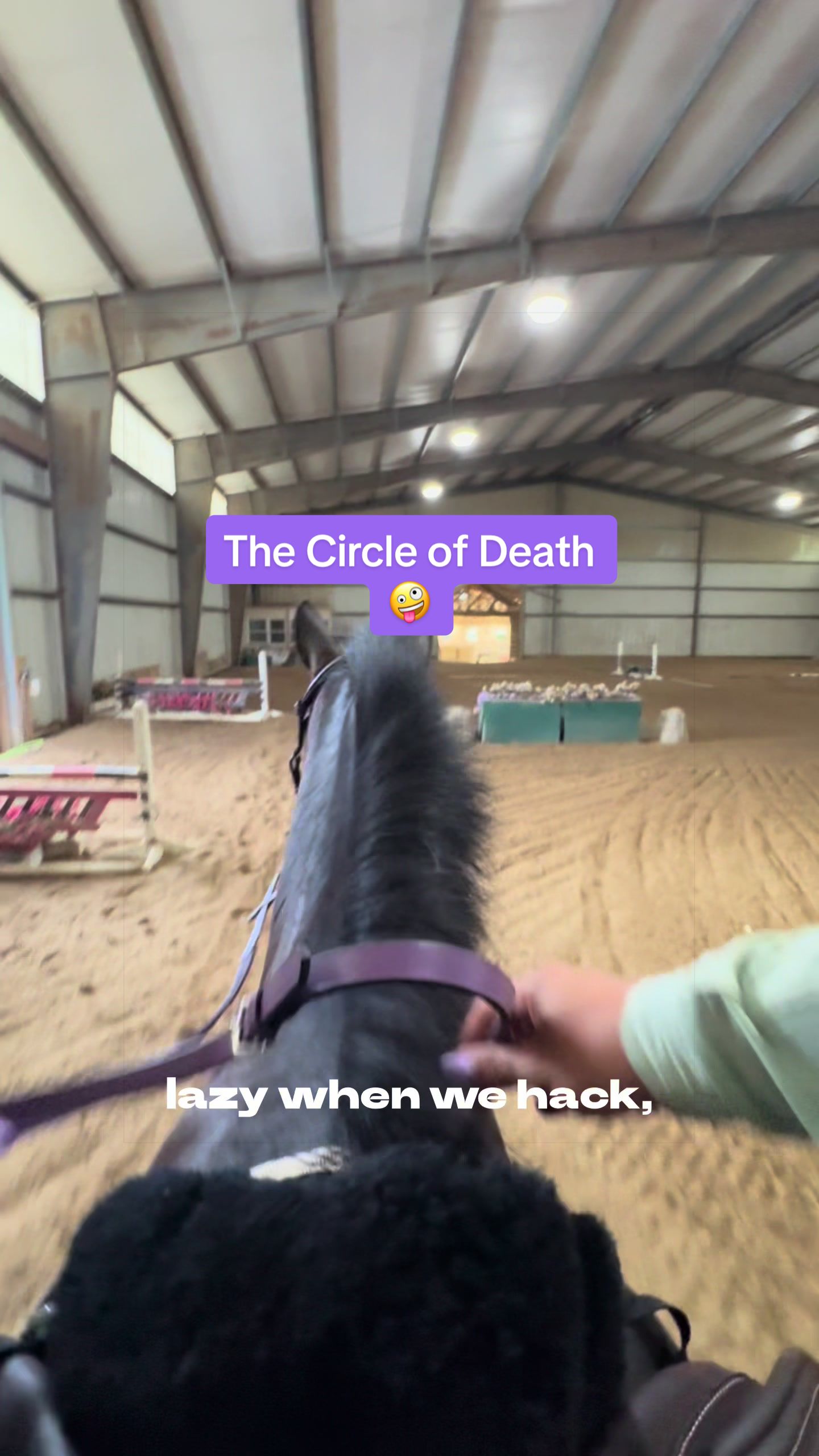 @Equestrian |🦄 Mom