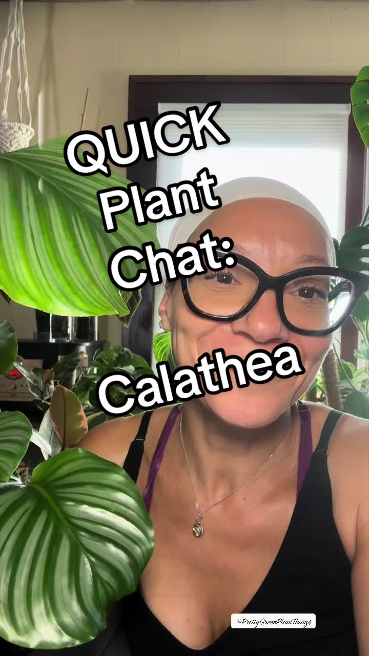 @PrettyGreenPlantThings