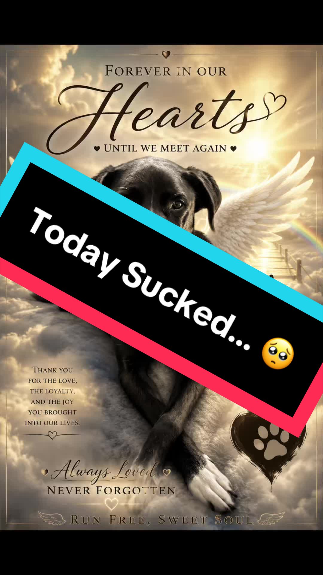 @🦅The Patriotic Stacy