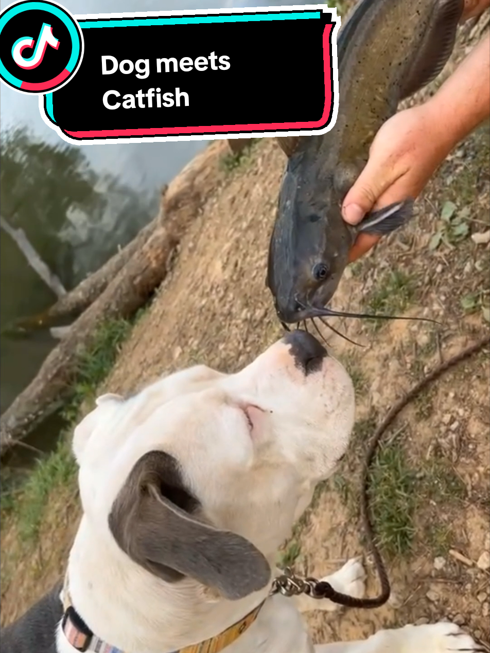 @Levi Barnett