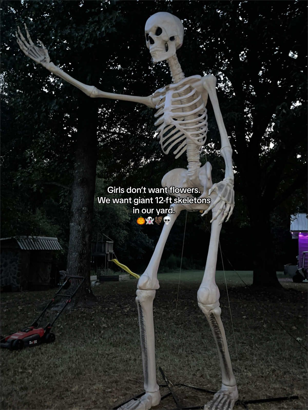 @Spooky Sara🦇🎃