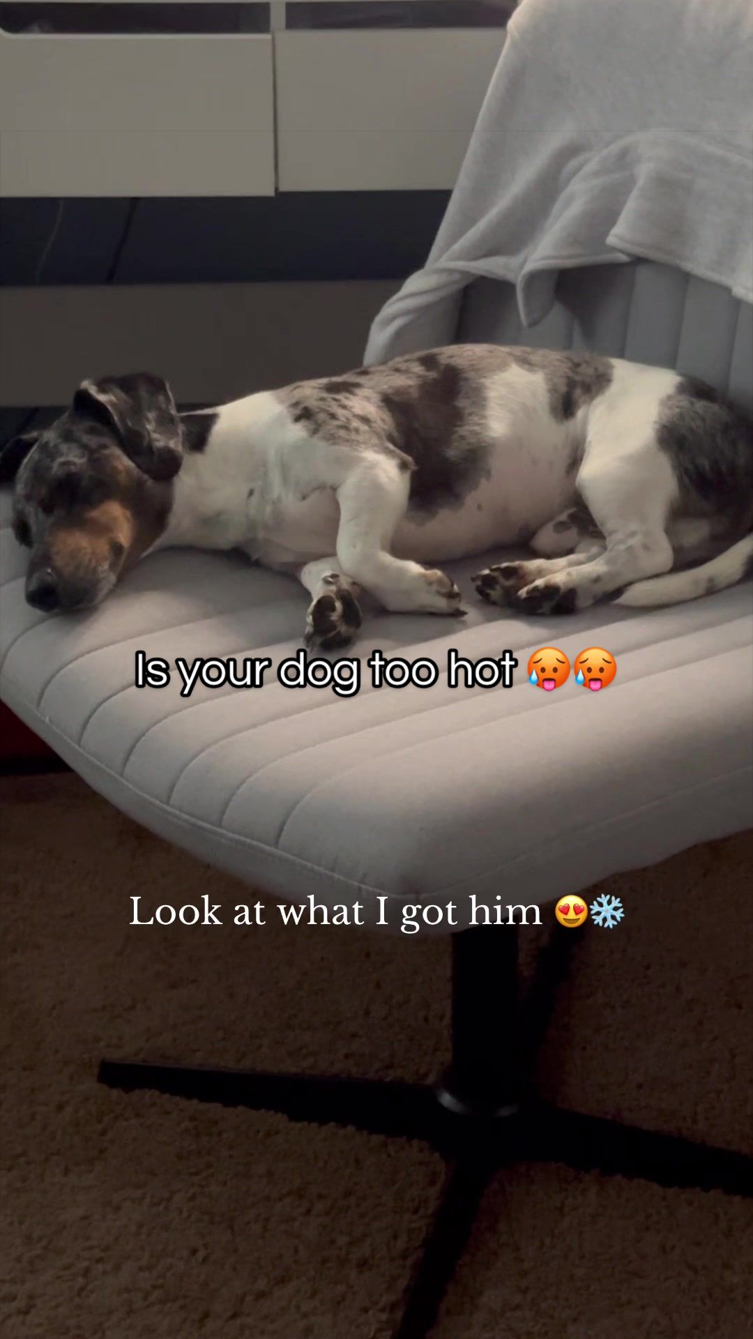 @candace_amy