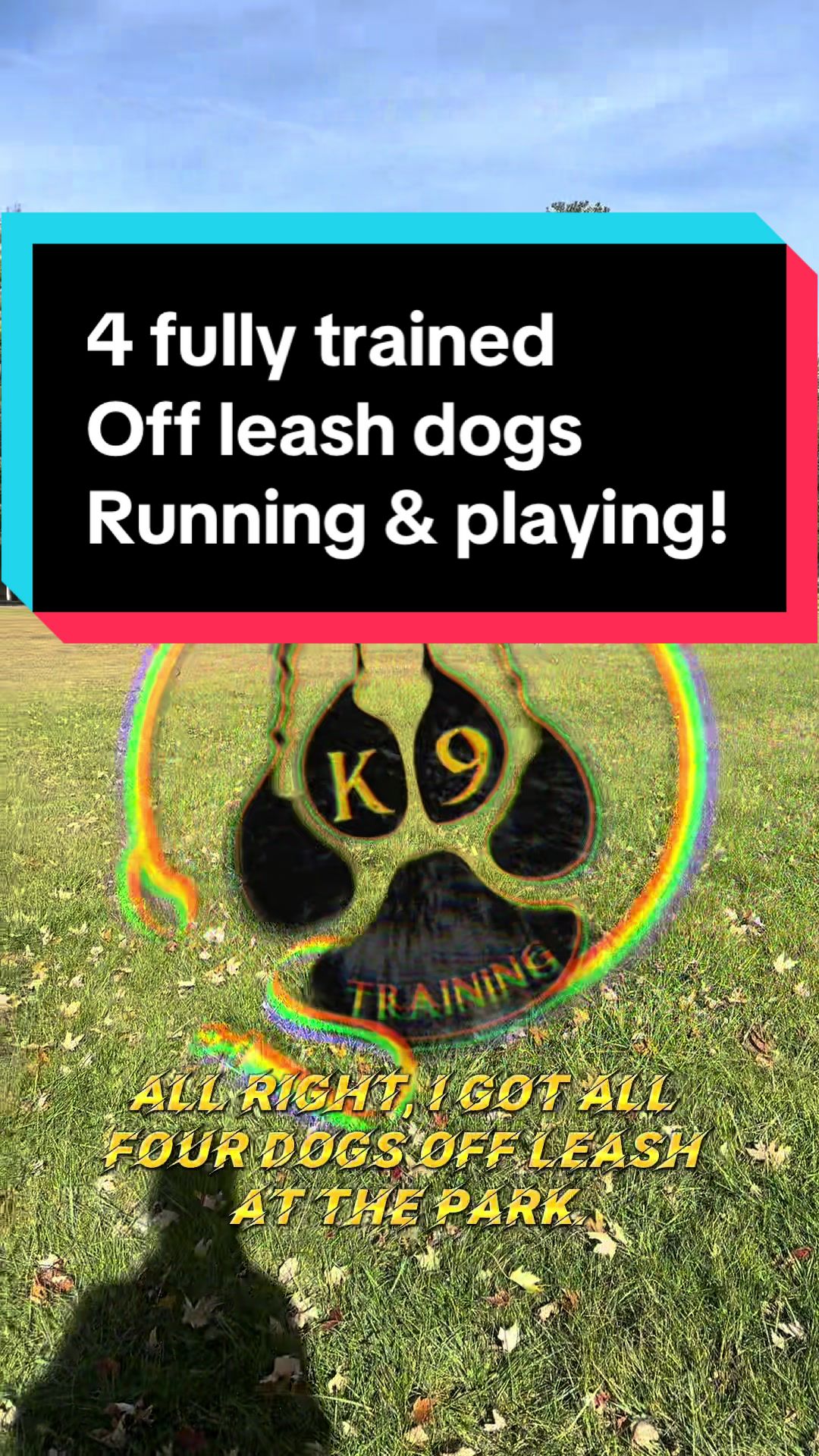 @Fully Unleashed K9 Training