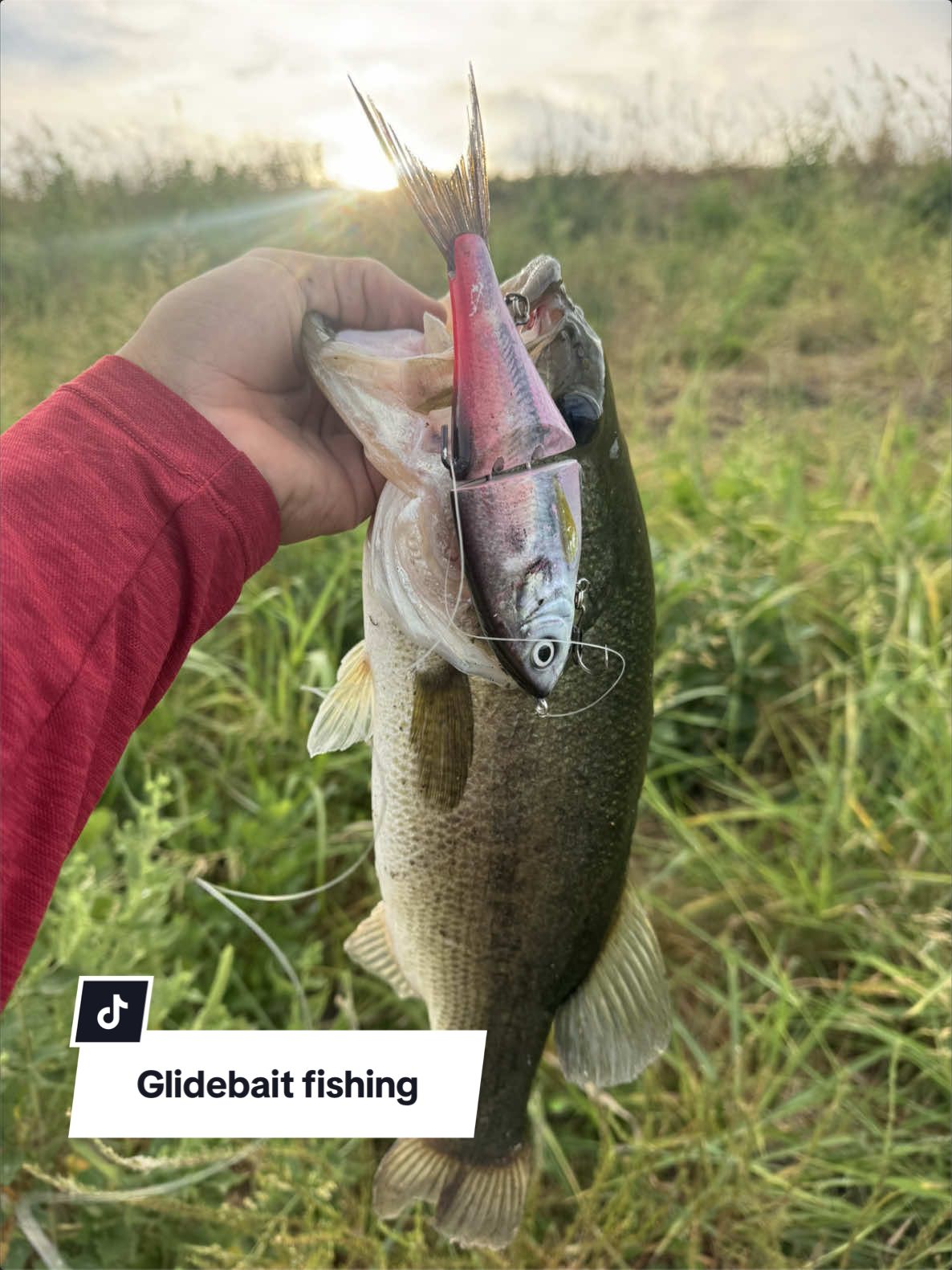 @Lunkerhunter🪵